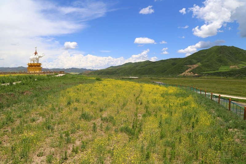 Gannan--Road View from Xiahe to Langmu Temple (37).JPG