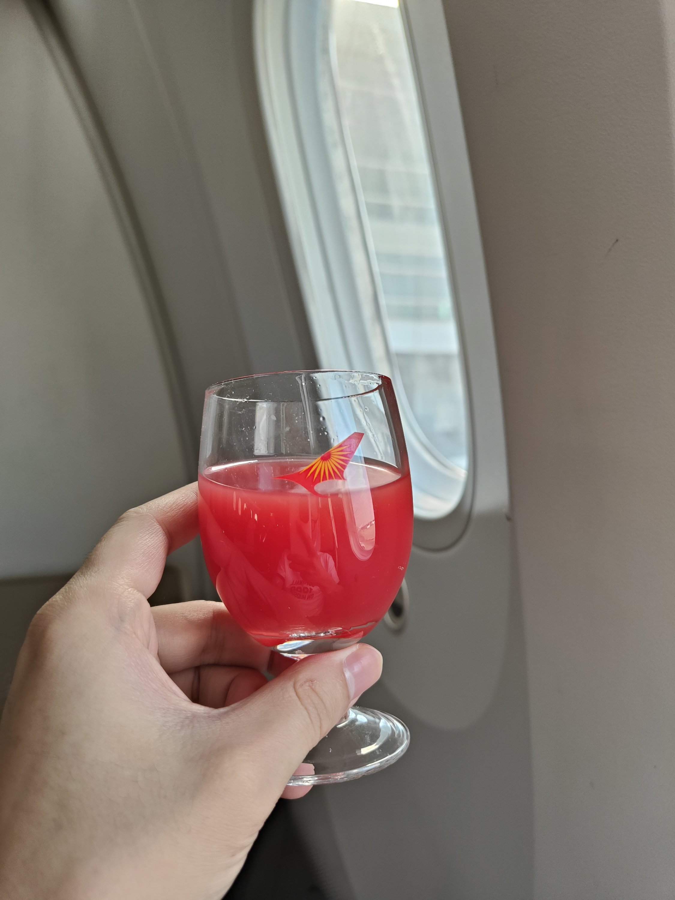 ҲӦû˷ӡȺհ DEL-DXB 