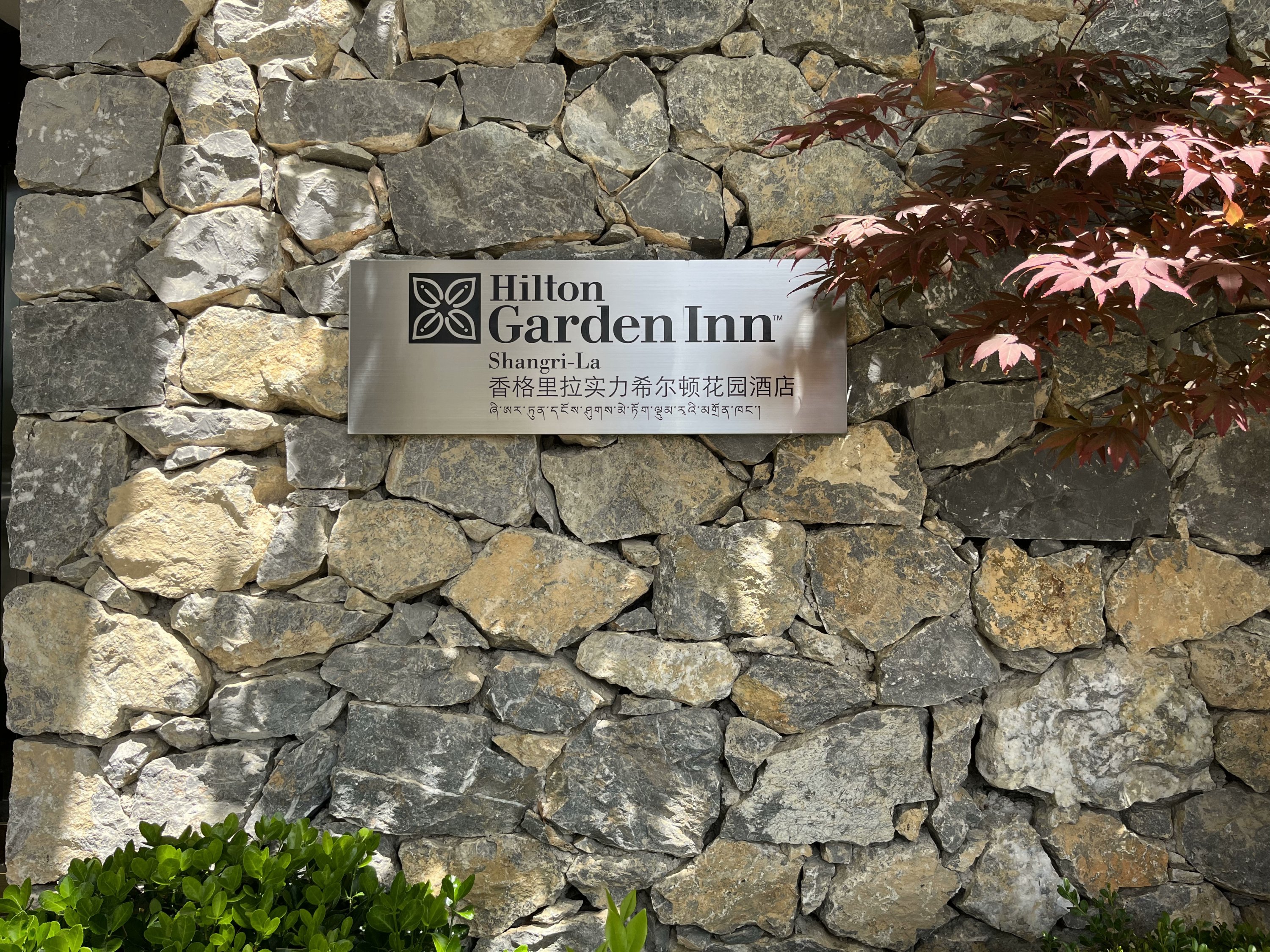 ʵHilton Garden Innס