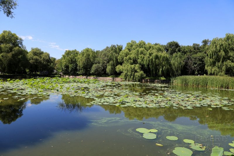 Shenyang--Zhao Mausoleum and Beiling Park (27).JPG