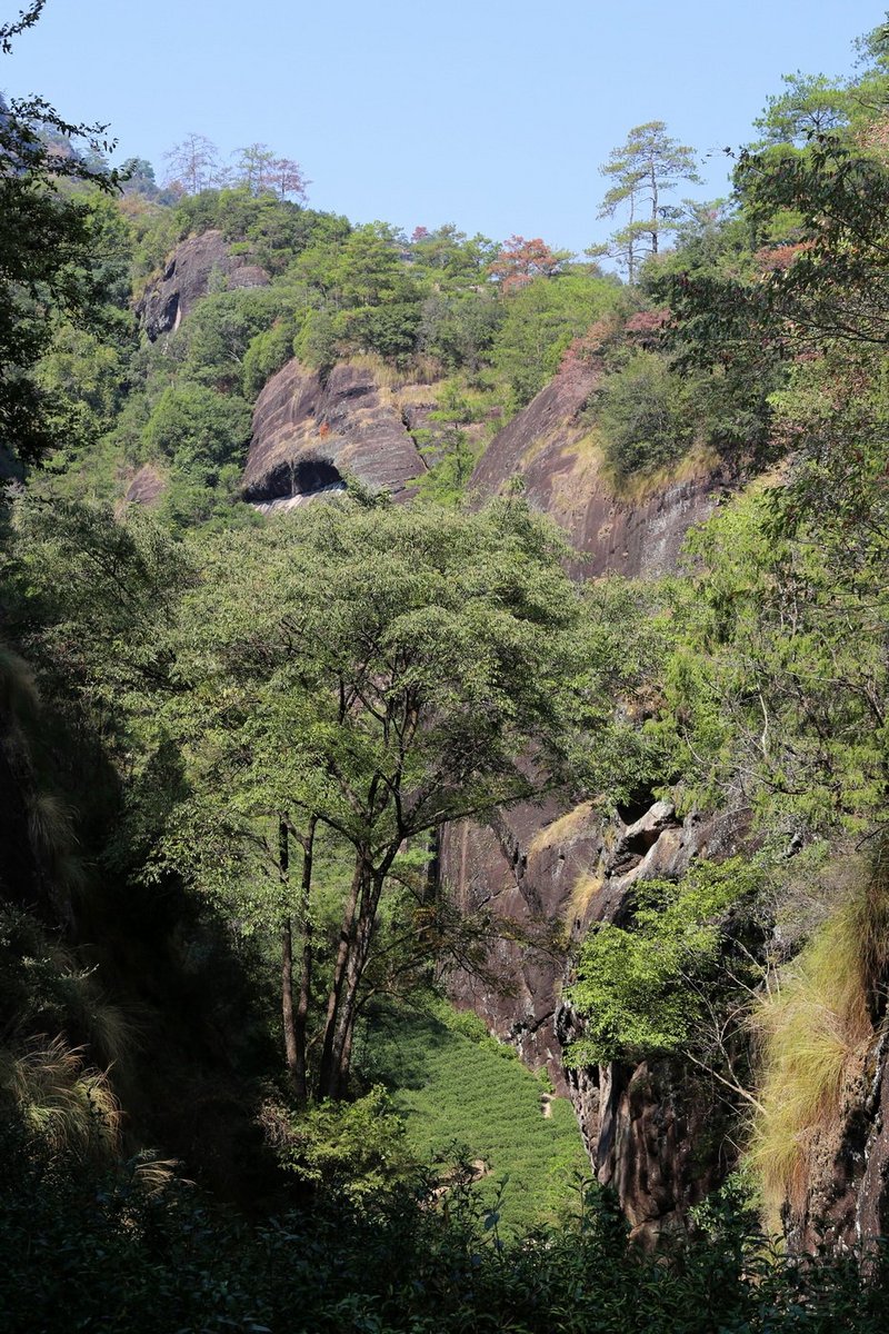 Mount Wuyi--Red Robe and Water Curtain Cave (4).JPG