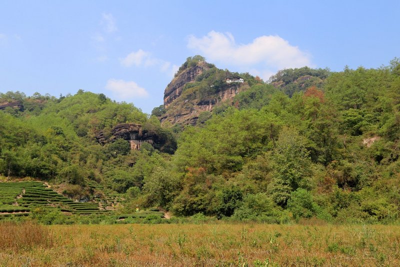 Mount Wuyi--Nine Bend Stream (33).JPG