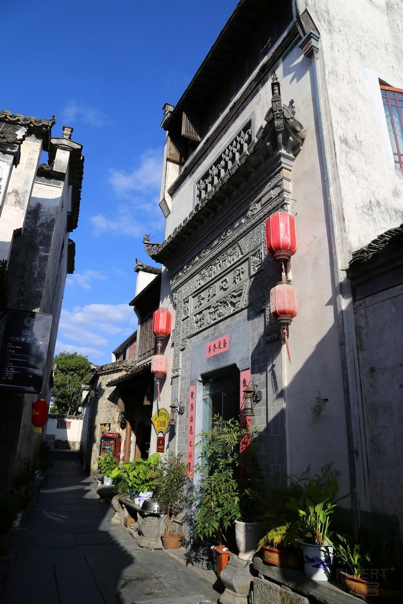 Huangshan--Xidi Village (53).JPG