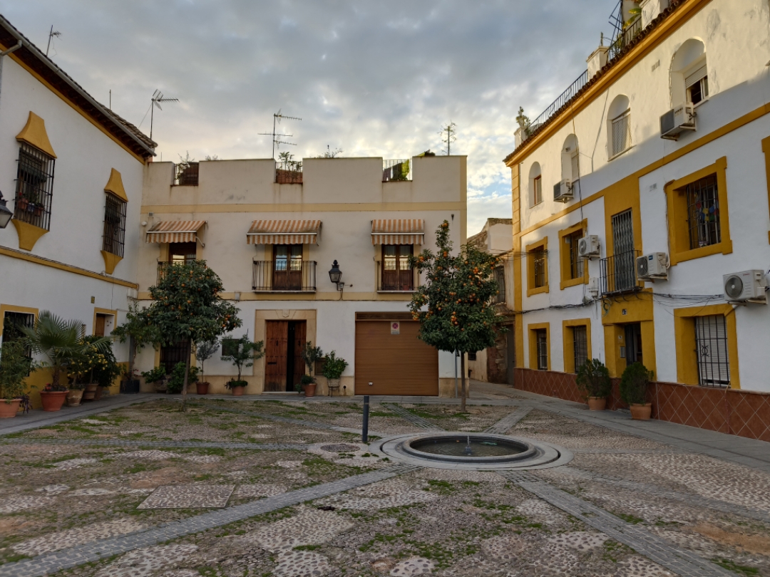 ƶCordoba ACƵ