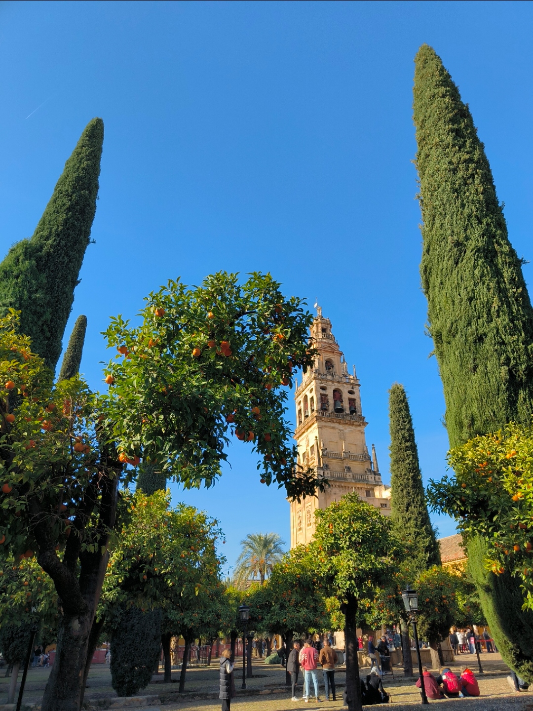 ƶCordoba ACƵ