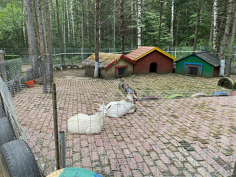 【吉林长白山】皇冠假日酒店｜山景大床房