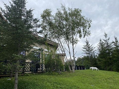 【吉林长白山】皇冠假日酒店｜山景大床房