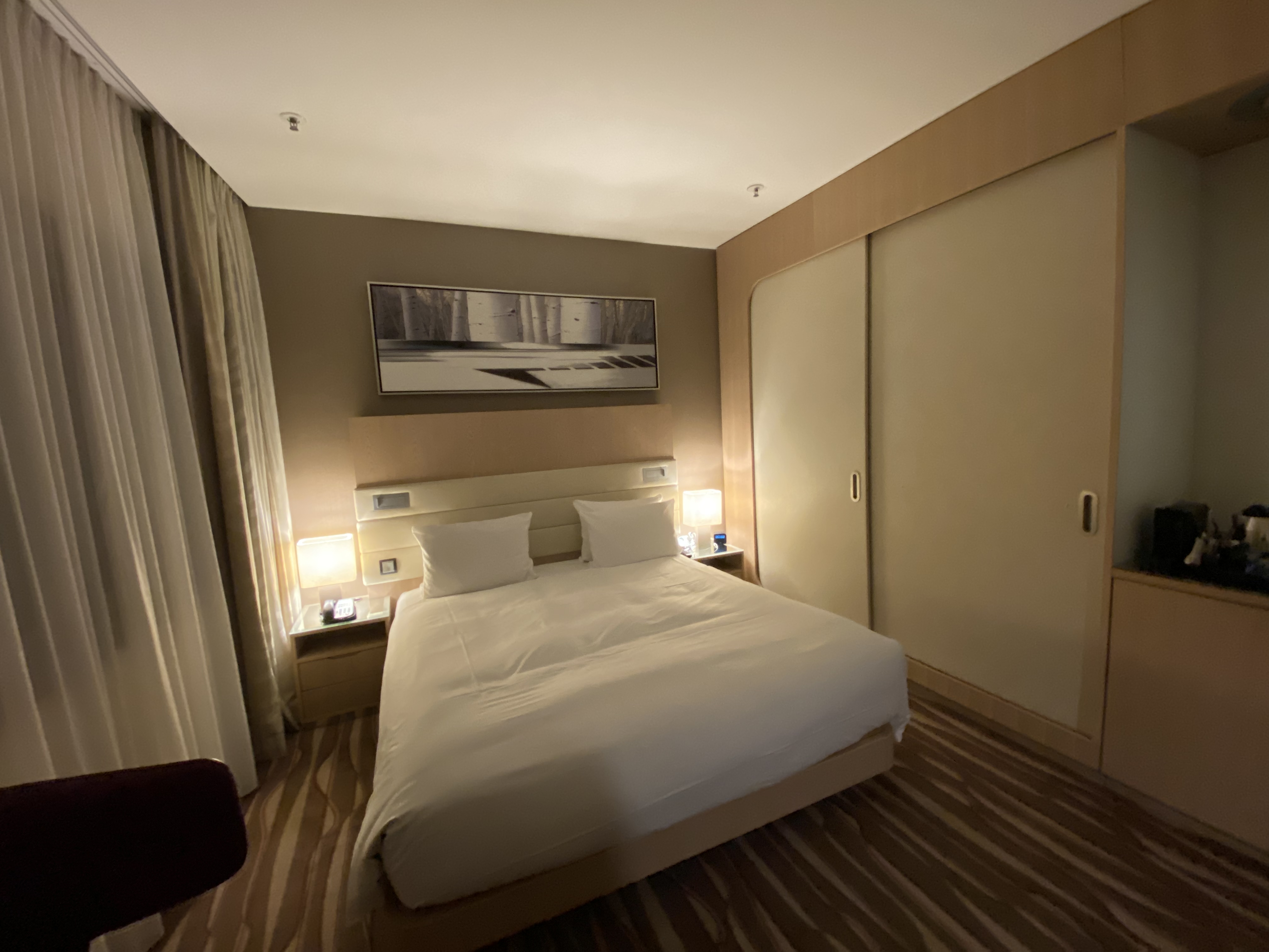 ˸ϣ Hilton Frankfurt Airport