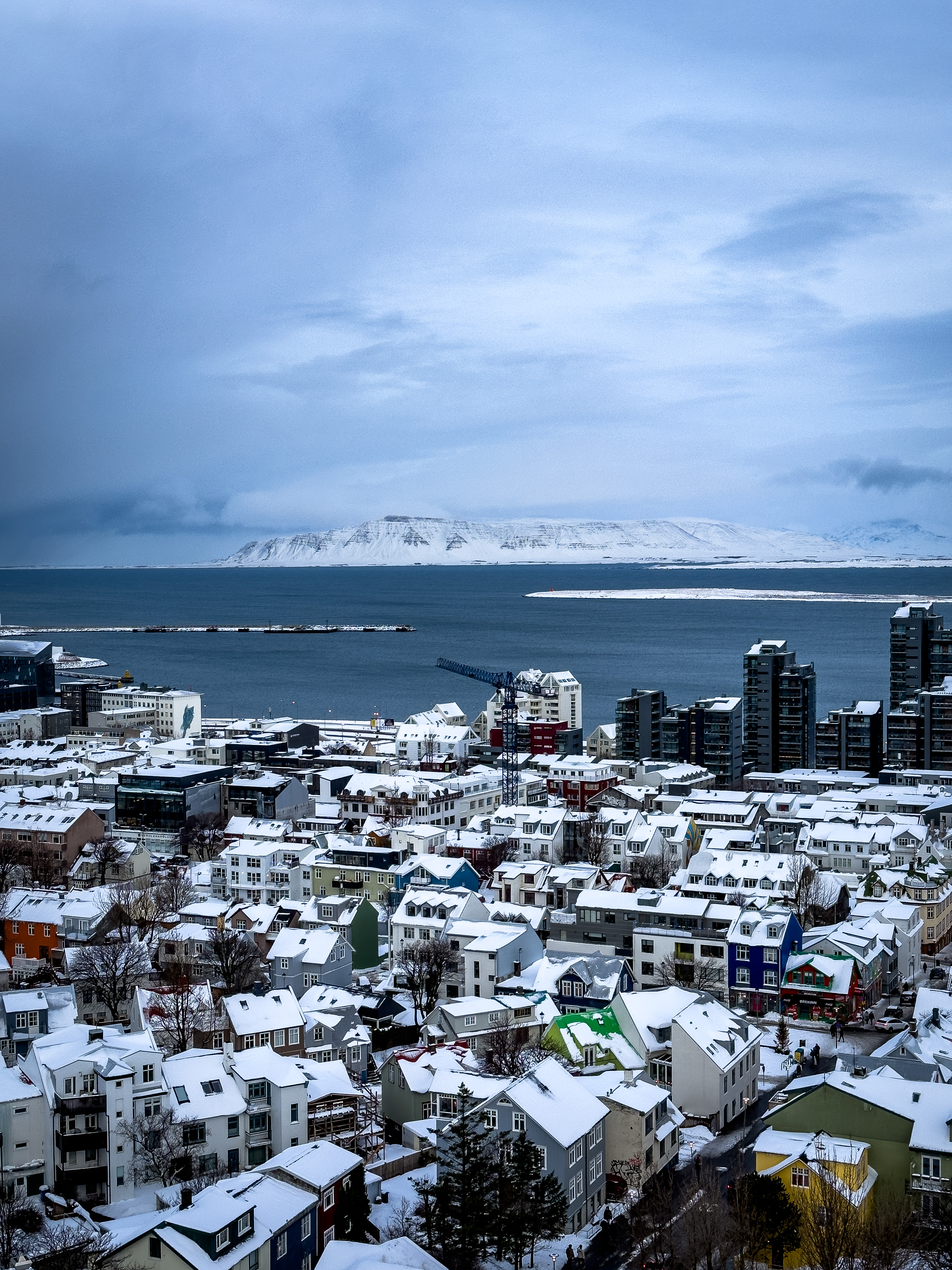 22W36 ׿δ˰ѷƵ The Reykjavik EDITION