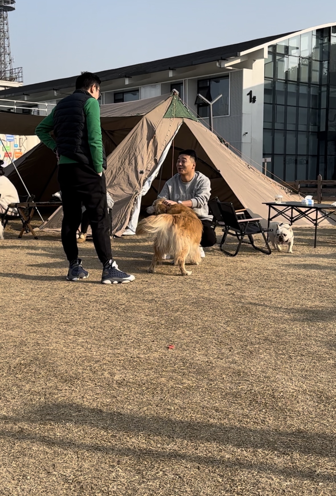 带7岁的狗子体验宁波凯悦尚萃的宠物友好