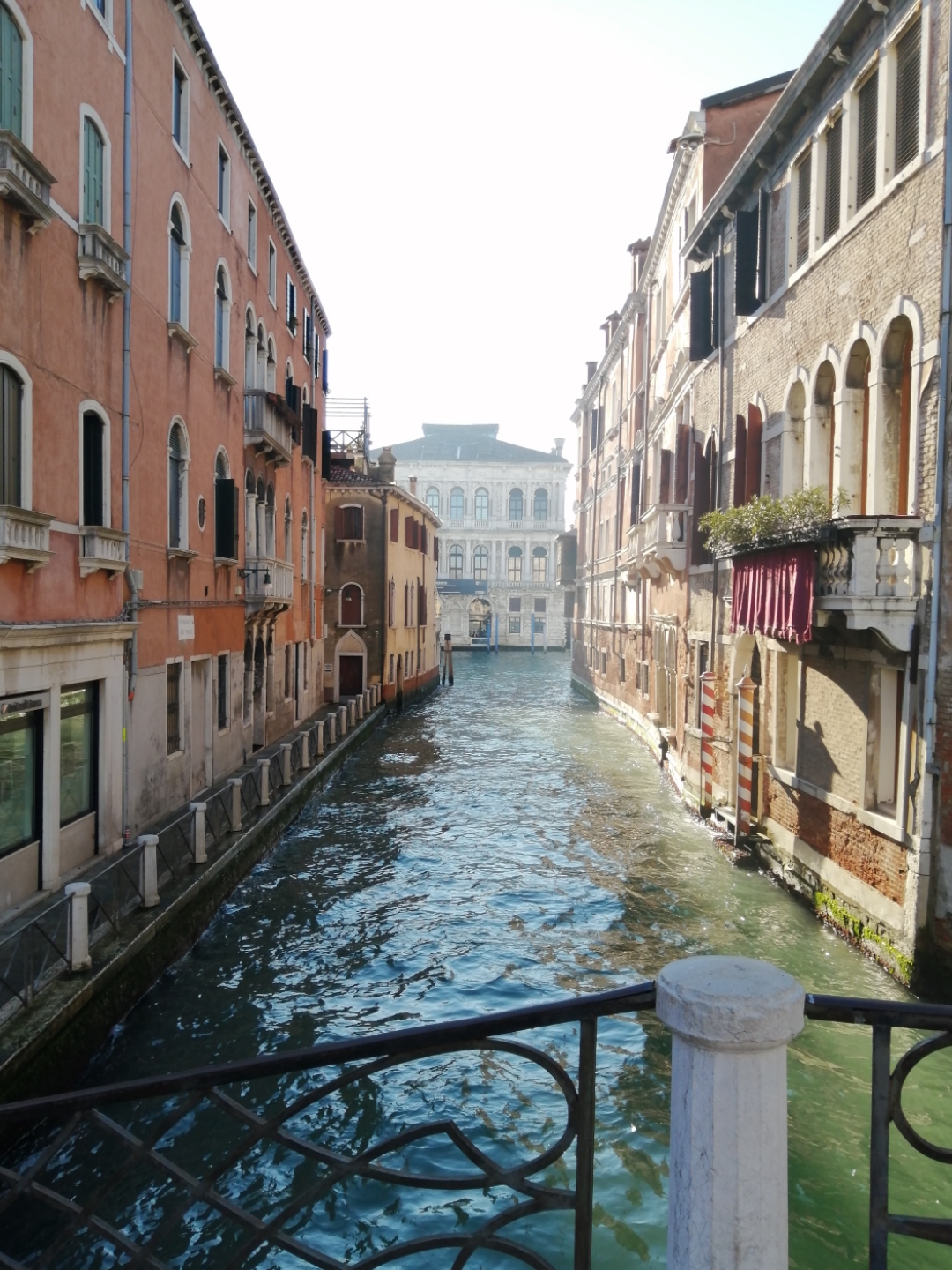 ˹ ޼ӡȸ硫Indigo Venice 2023طã