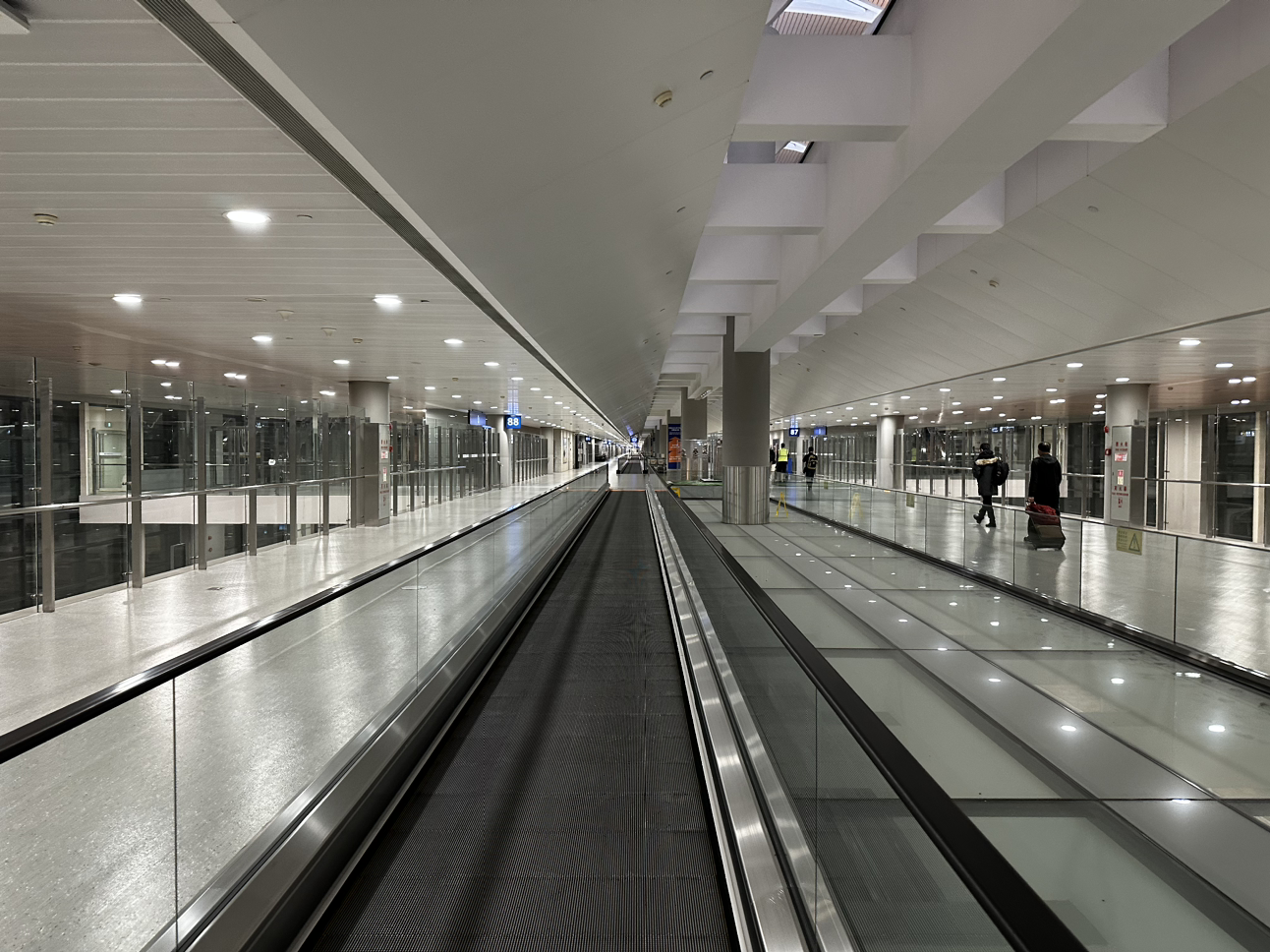 ֺһγ AKL-PVG