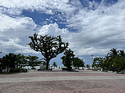 Ϊʲôƽ<em>ye</em> ji