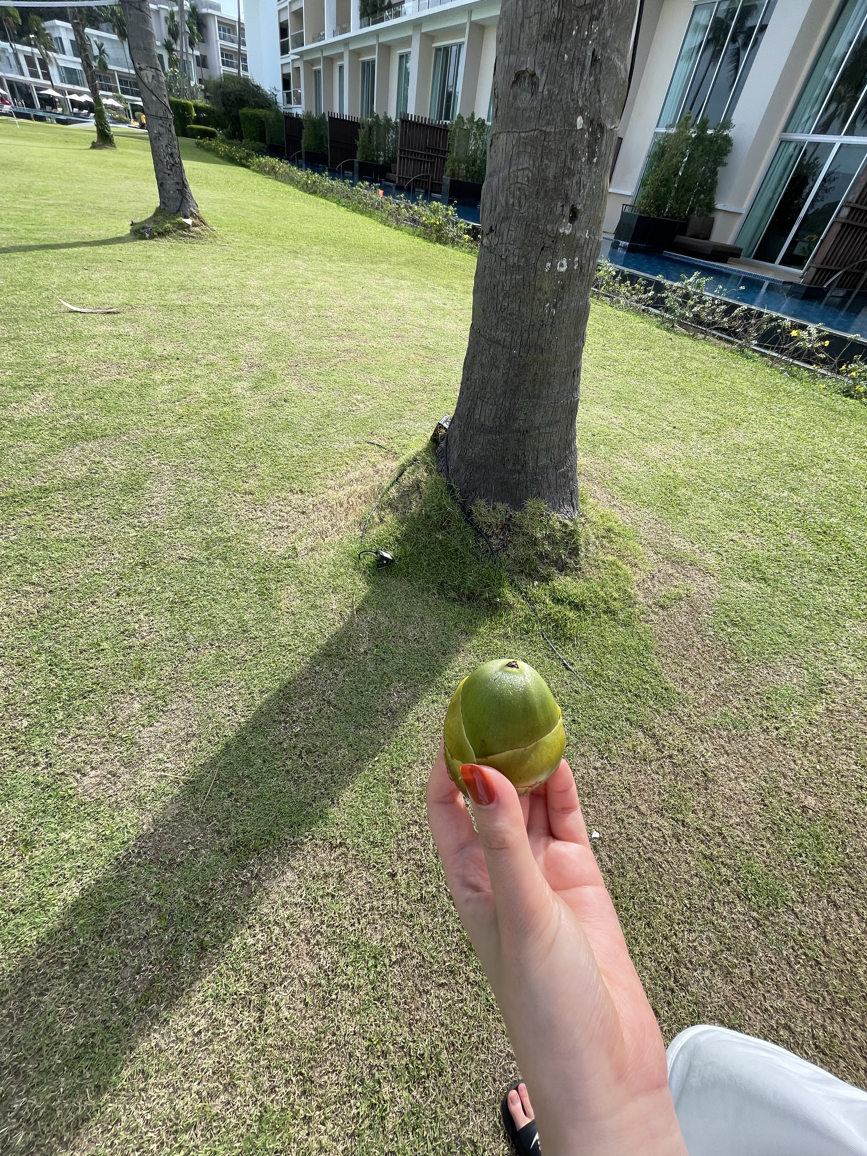 ³һվռʹڼߺ̲Ƶ