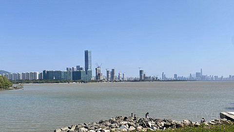 #2023重逢美好｜非套房的最优选｜【深圳湾万丽酒店】湾景大床角房入住报告和房型对比