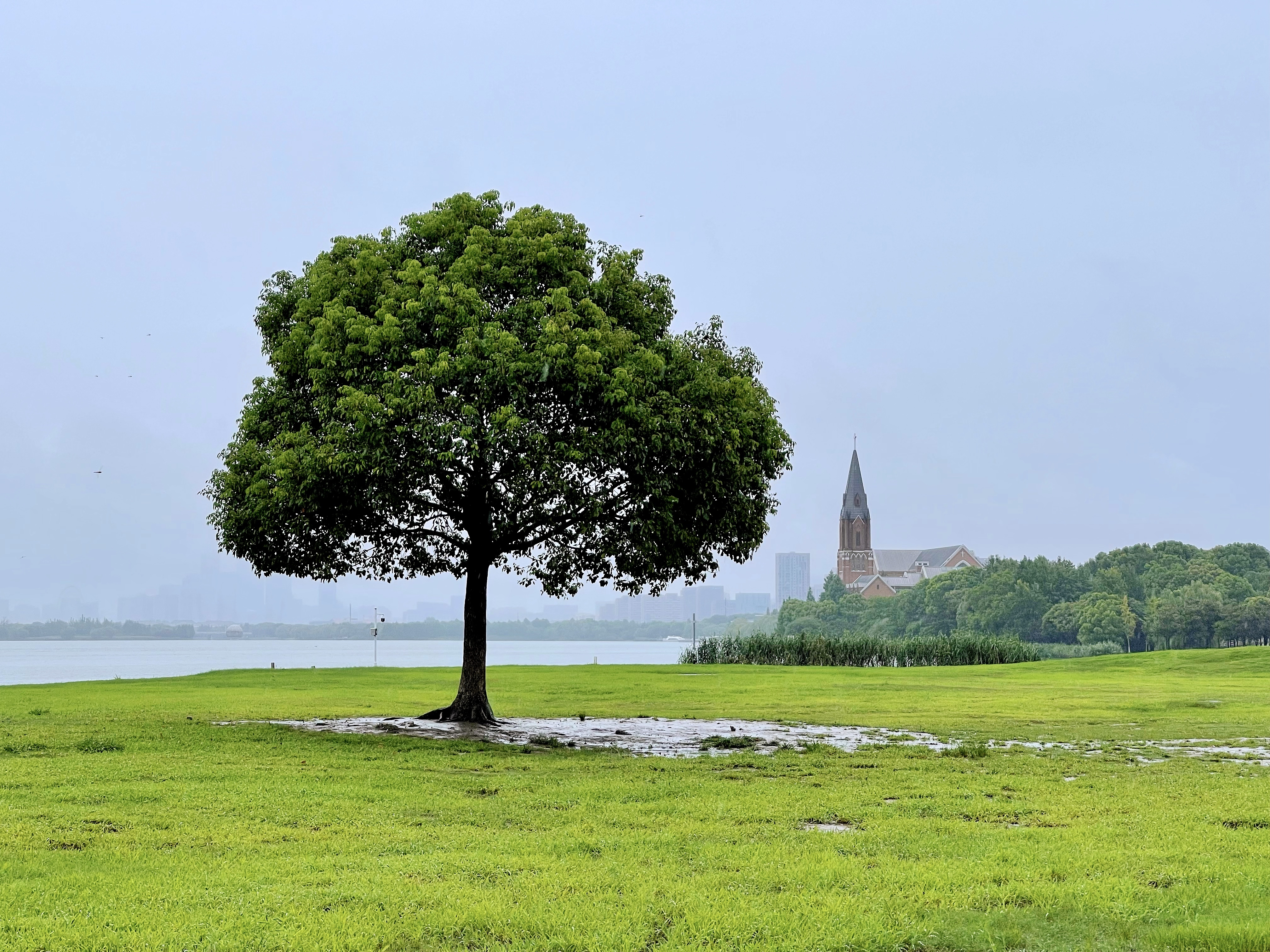 Suzhou Marriott Hotelǿؼ֮׷-϶ּ