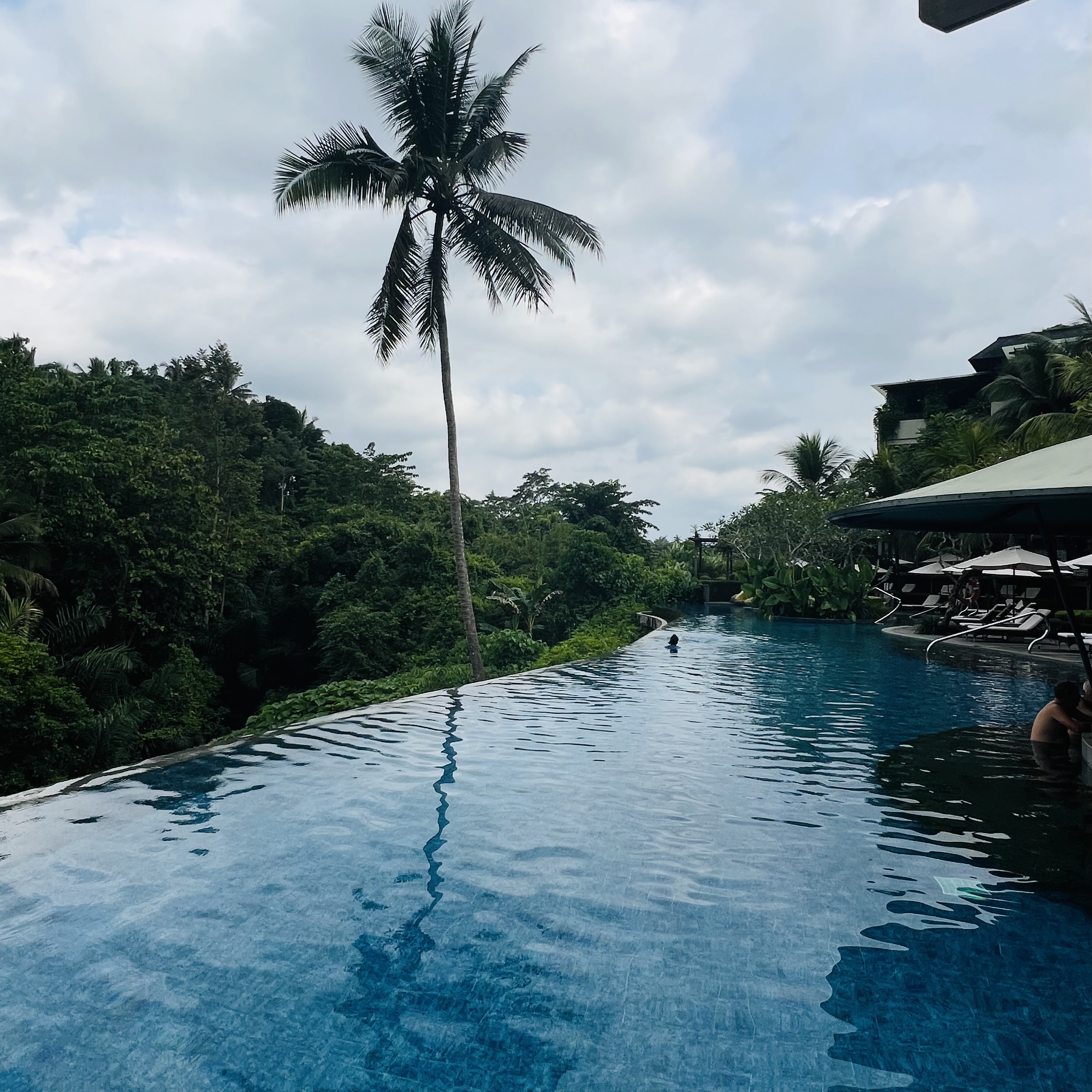 ڲ˹͡ ׷The Westin Ubud Bali