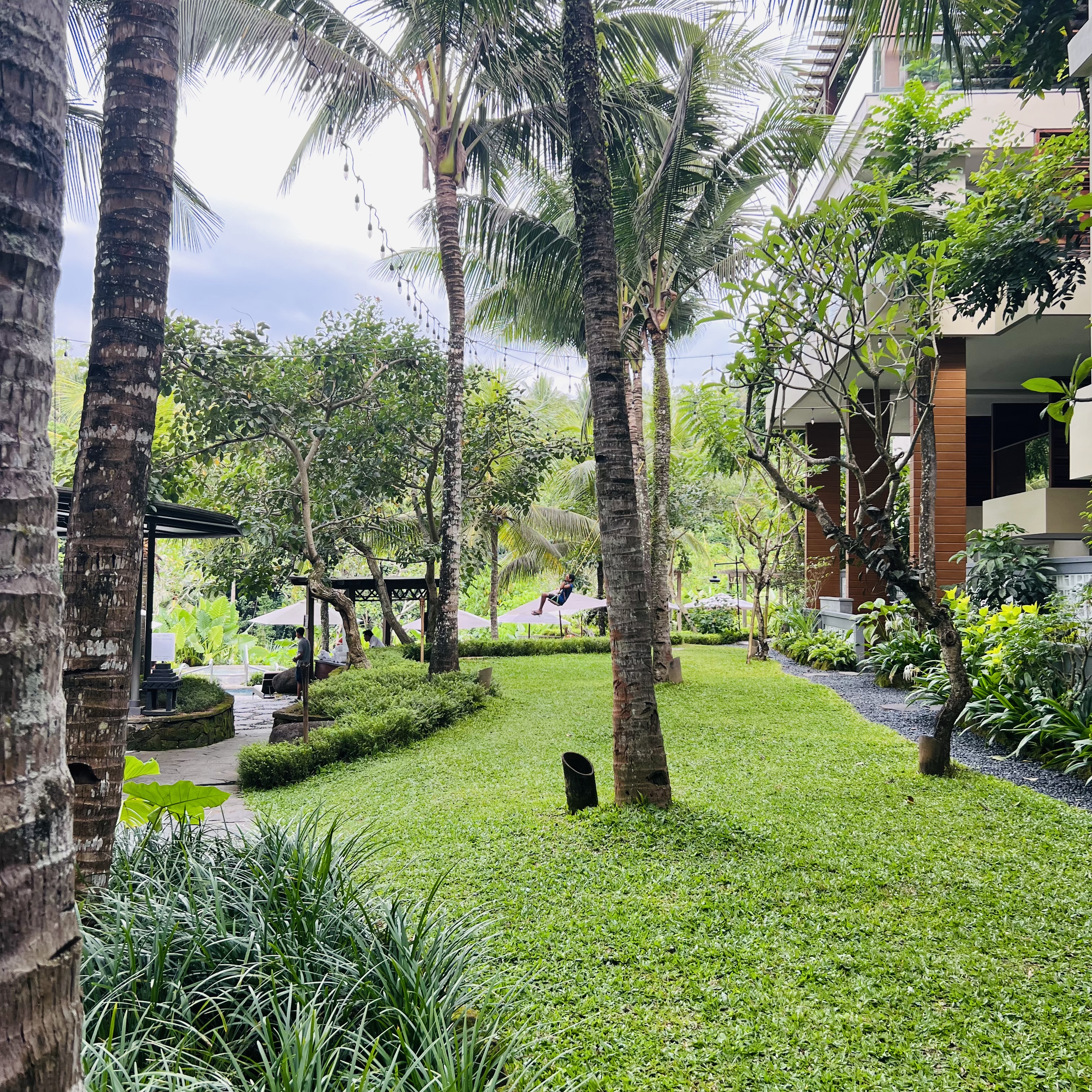 ڲ˹͡ ׷The Westin Ubud Bali