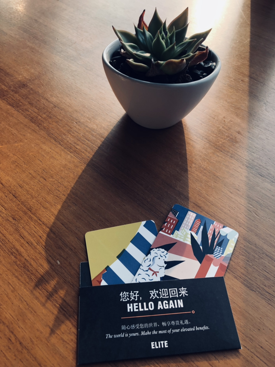 ֣ݽҵƵ Le Meridien Zhengzhou