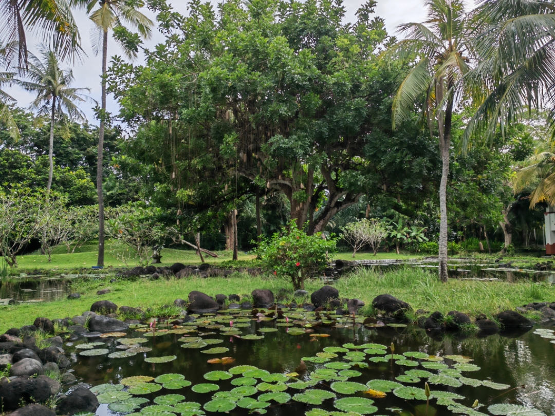 嵺þƵGrand  HYATT BALI 