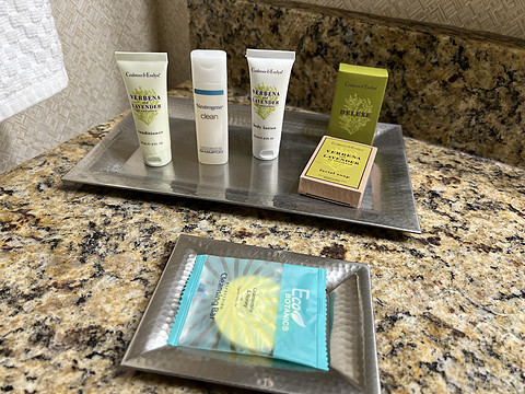【纽约门户 大车希家】纽约肯尼迪机场希尔顿酒店 Hilton New York JFK