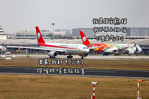 【南航学生旅行·回忆向】学生旅行开奖三舱布局787-9，独占明珠经济后排