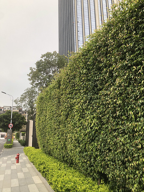 【厦门华尔道夫酒店】在鹭岛之巅的优雅庄园感受闽韵时光