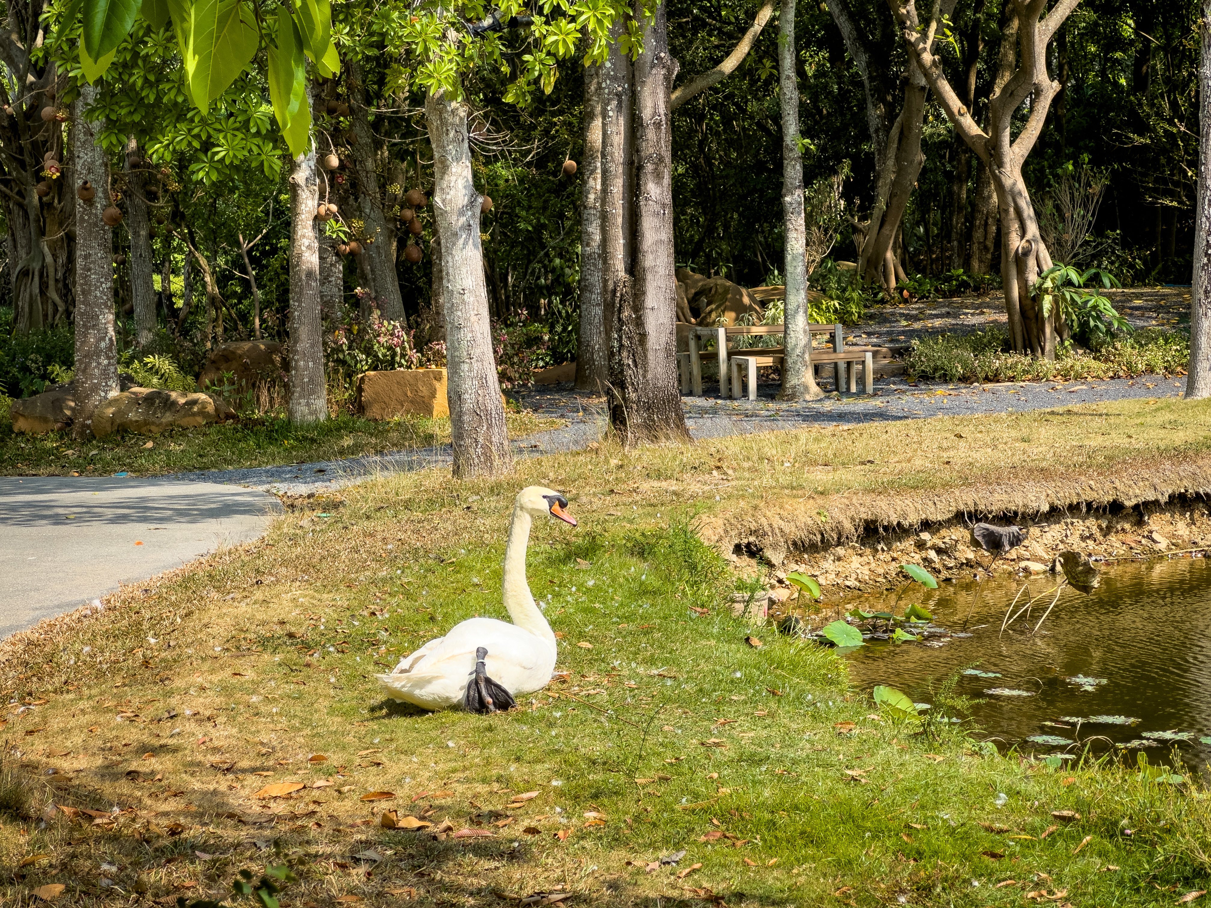 ̩޼ʶȼپƵ InterContinental Khao Yai Resort