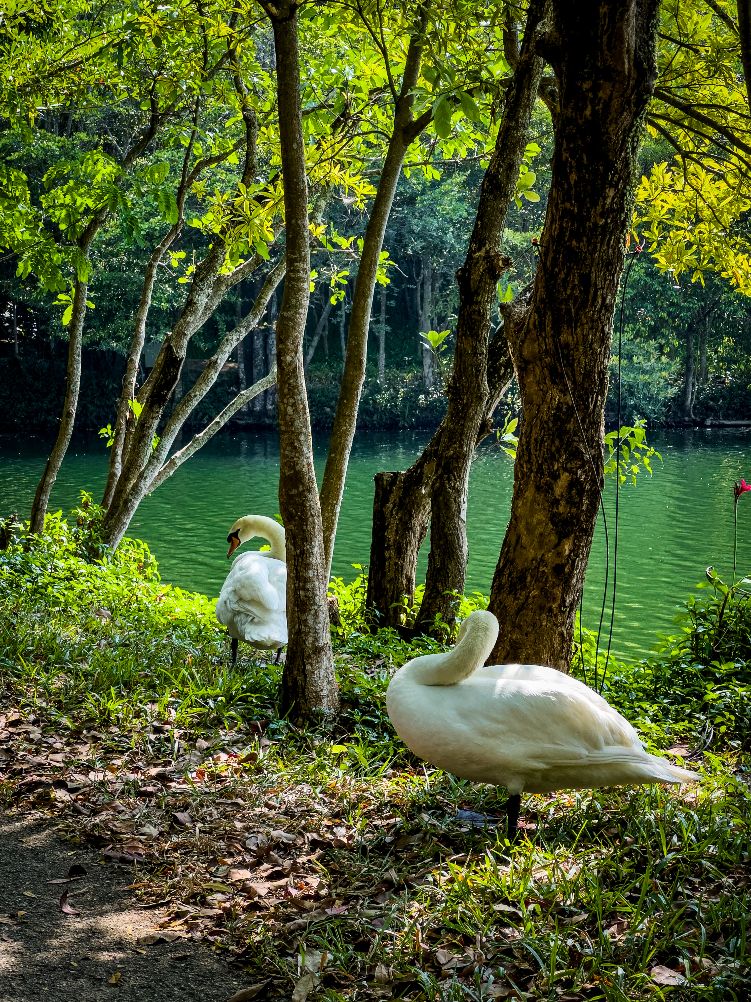 ̩޼ʶȼپƵ InterContinental Khao Yai Resort