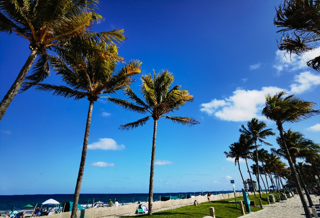 Сù Holiday Inn Boca Raton North