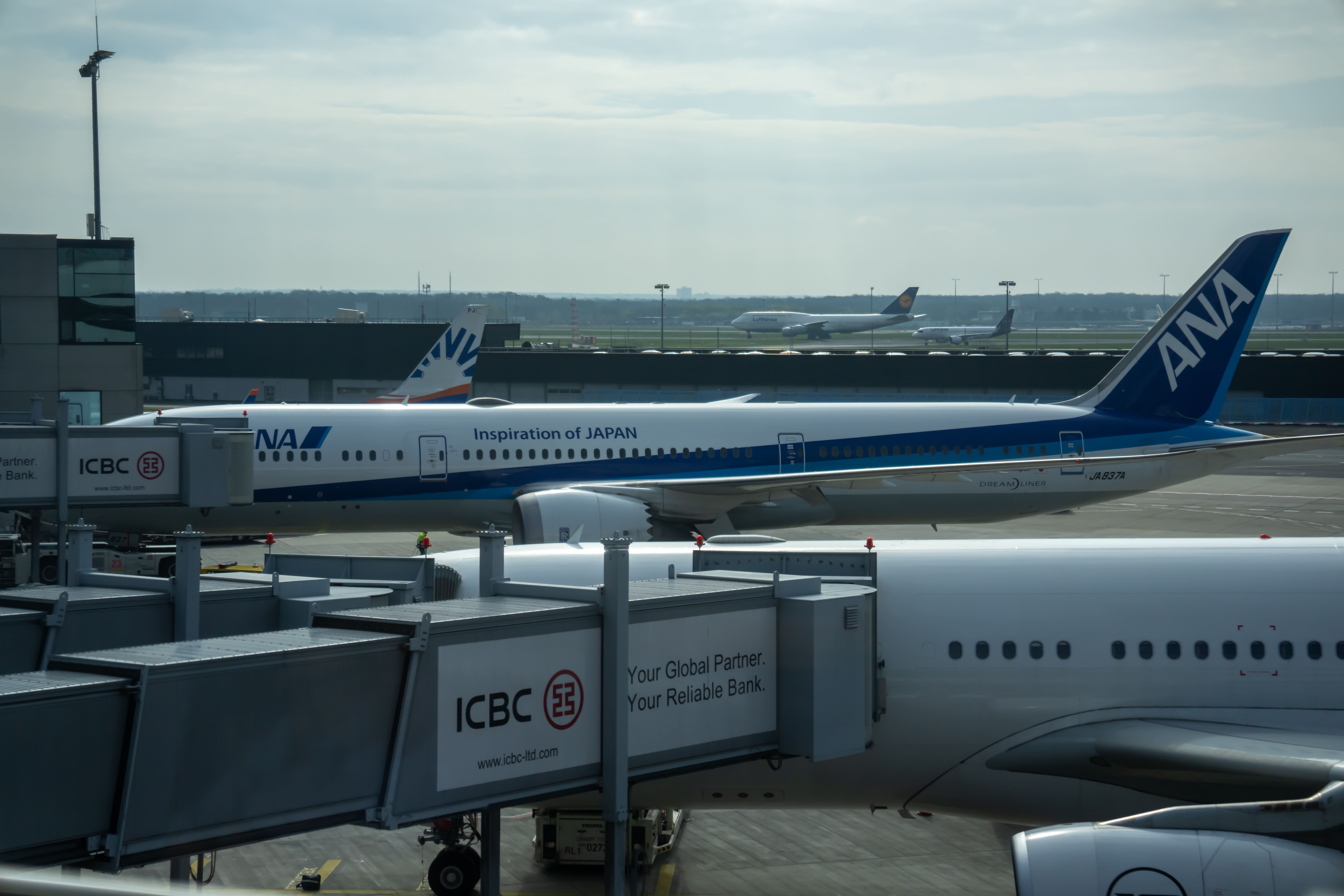 飨һSQ25 JFK-FRA-SIN A380飬JFK-AKL֮еһ