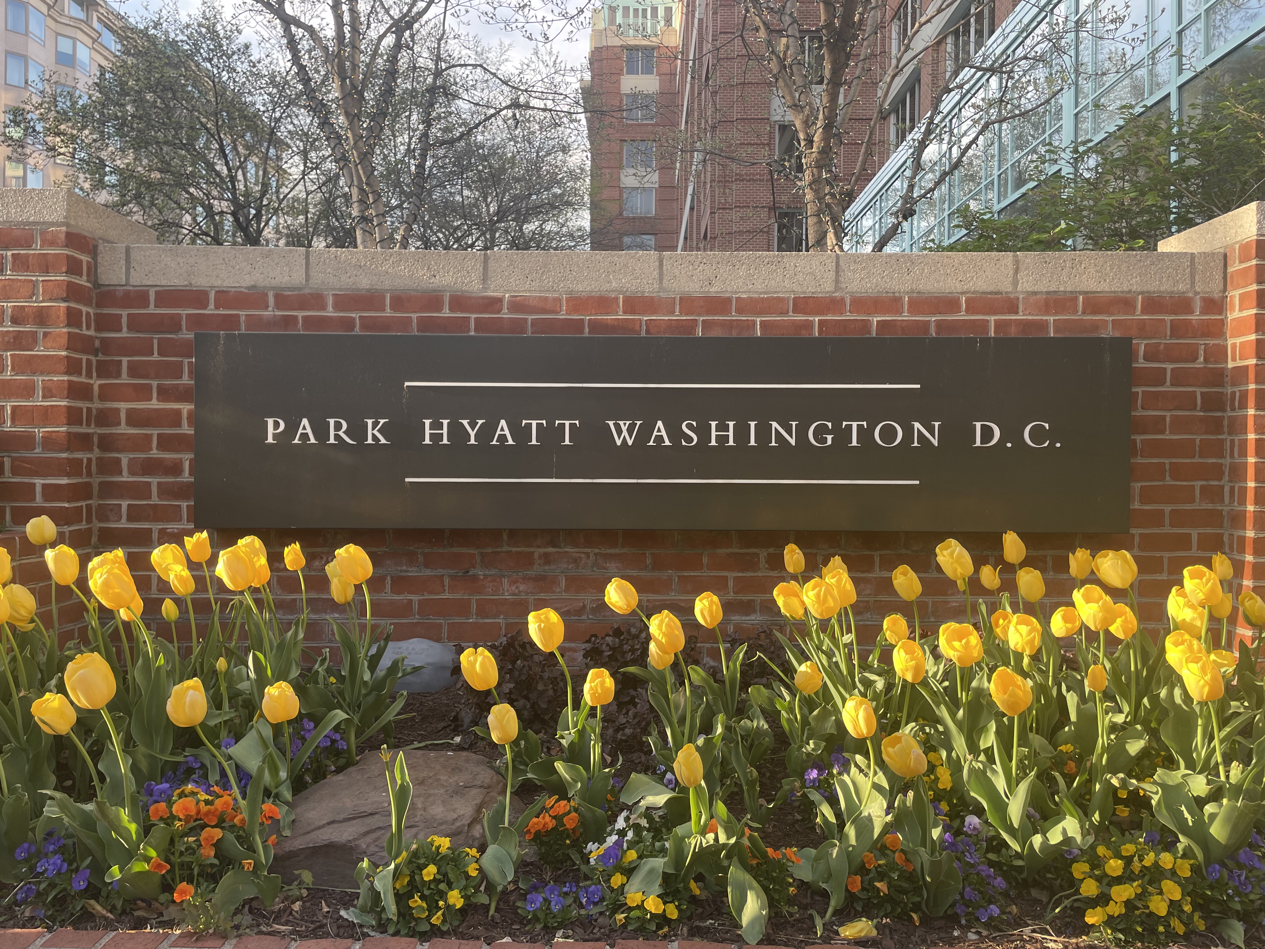 USAվ -ʢٰ ׷Washington DC Park Hyatt