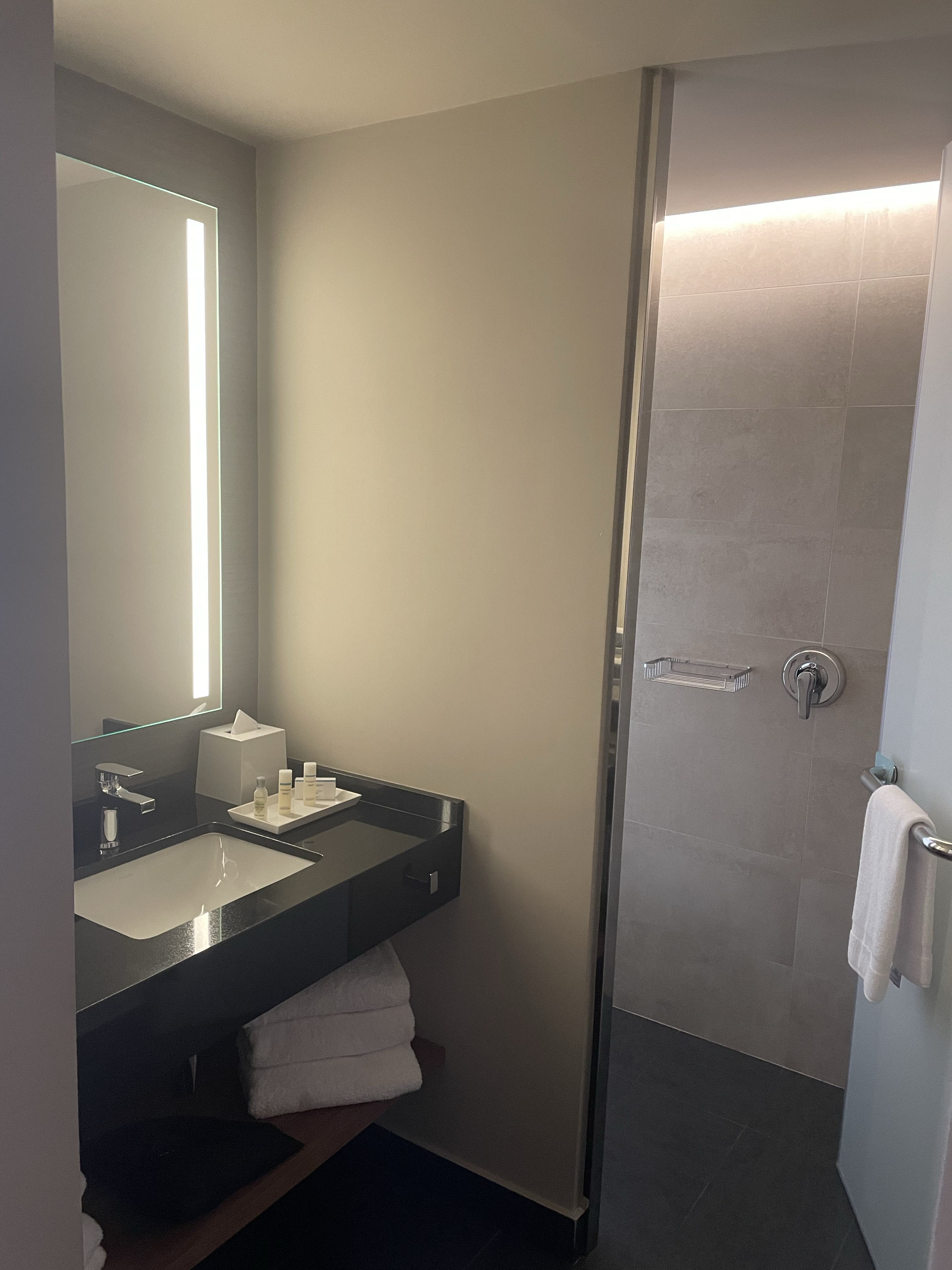 ϣٻ԰ƵHilton Garden Inn Lima Mirafloresȫ˫