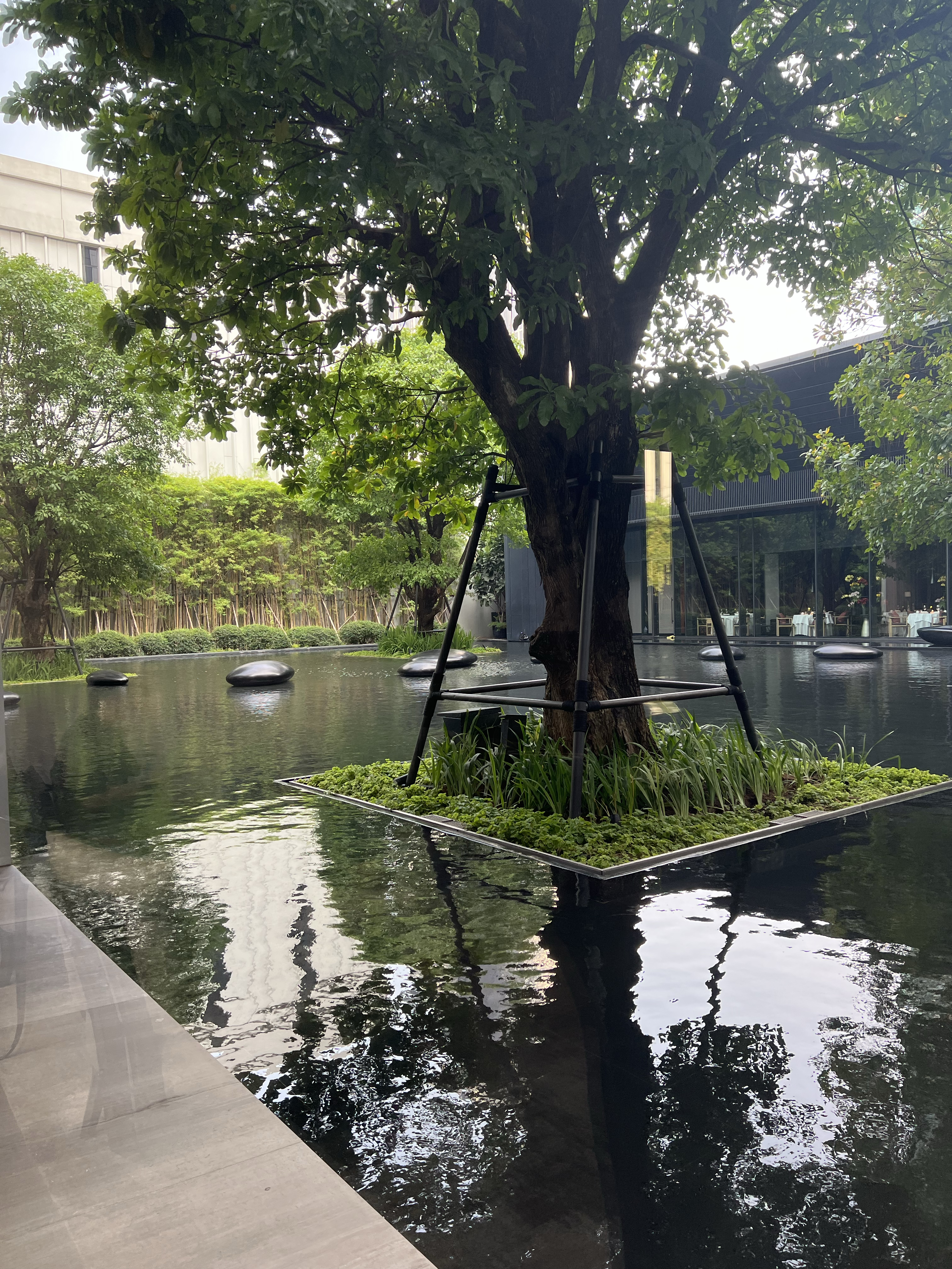 Chillin in BKK| ļϺӱߵ̩ʽȼ Four seasons Bangkok