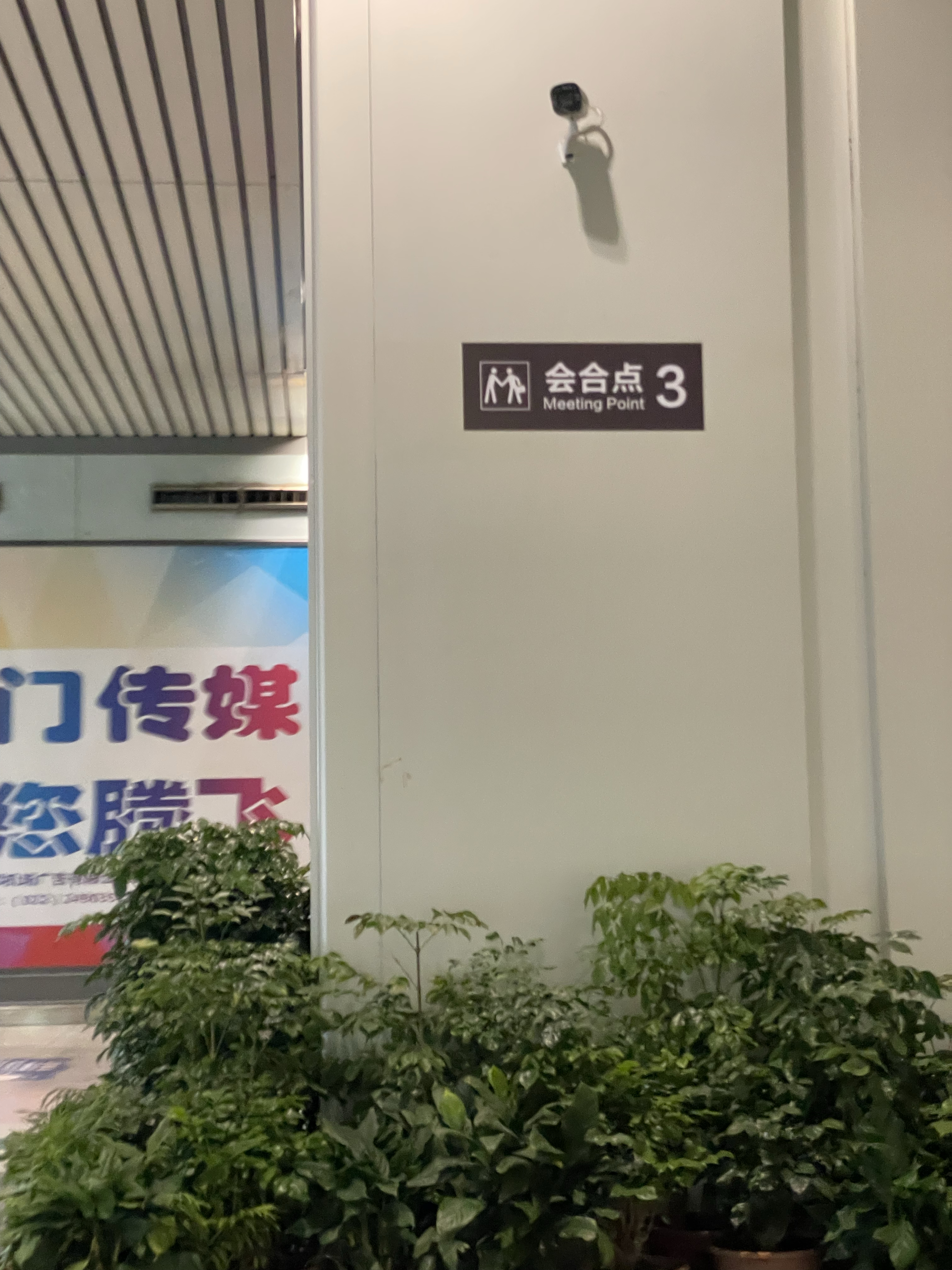 ʻt2   ¥