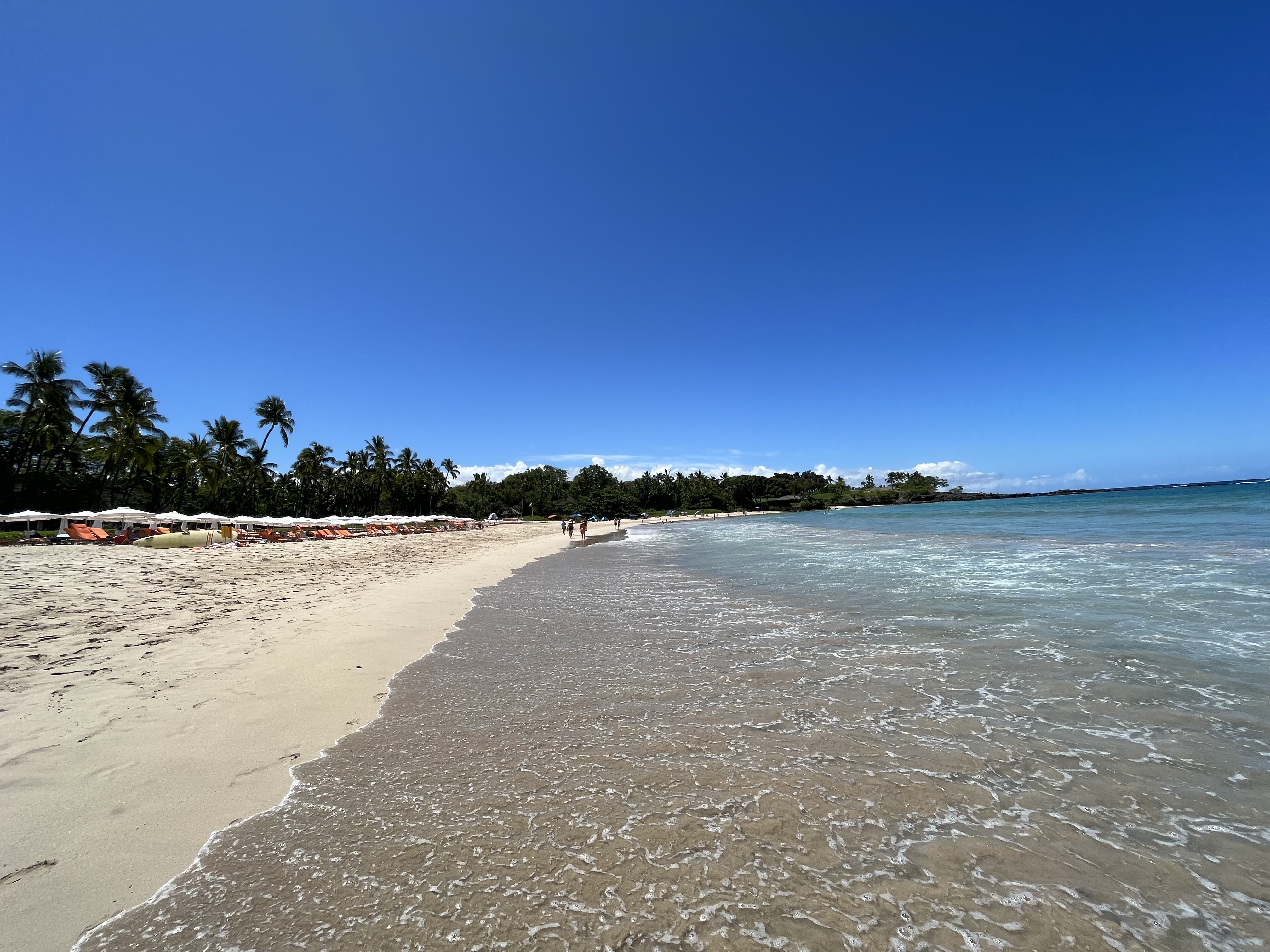 Ĵ-;ѡƵ Mauna kea beach hotel, Autograph collection