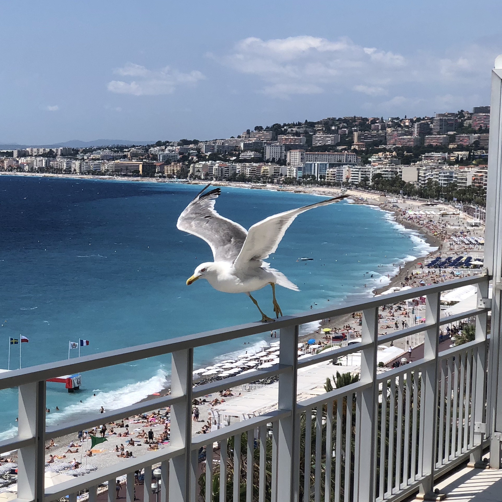 ˹ Le Meridien