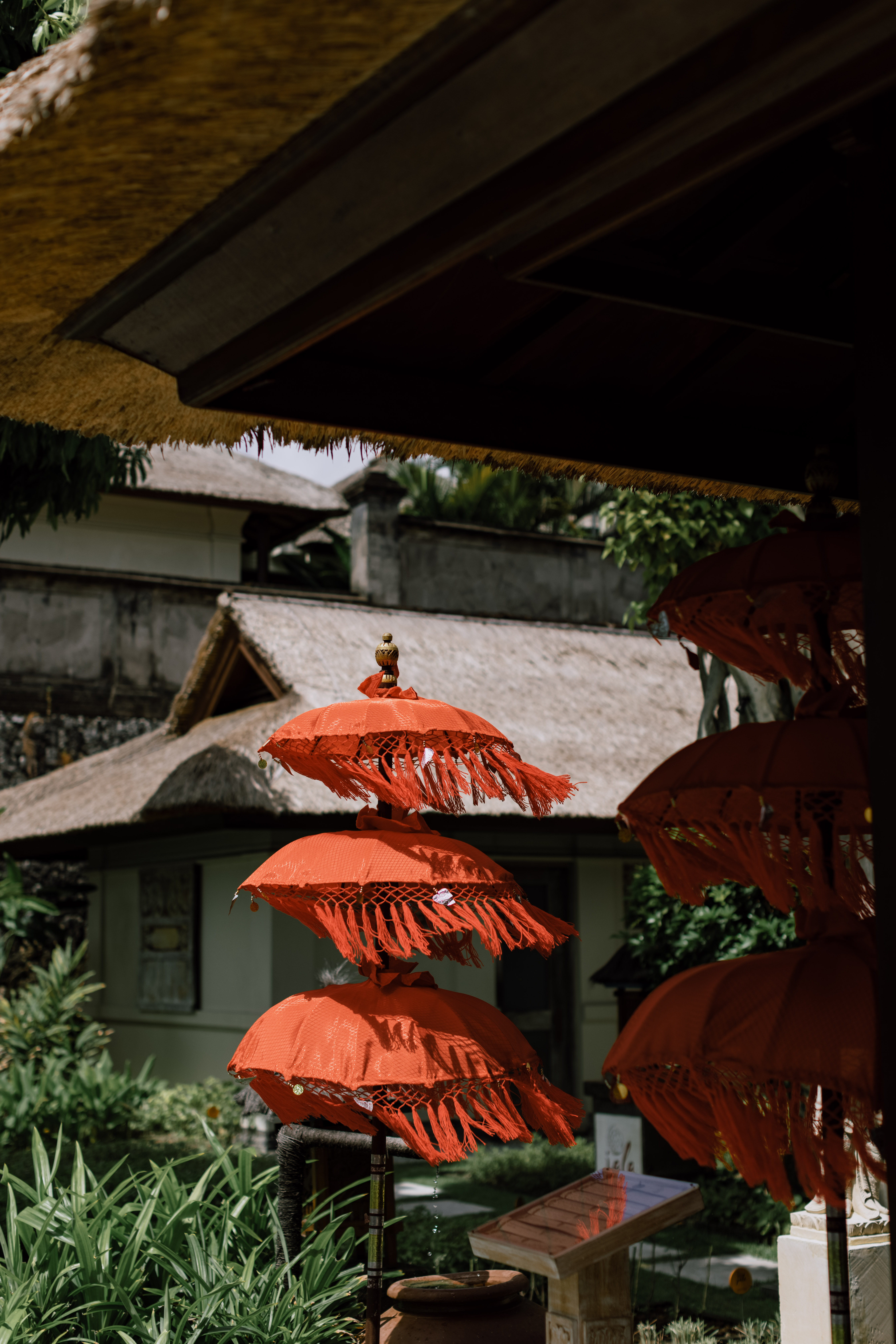 еǰ嵺ļ