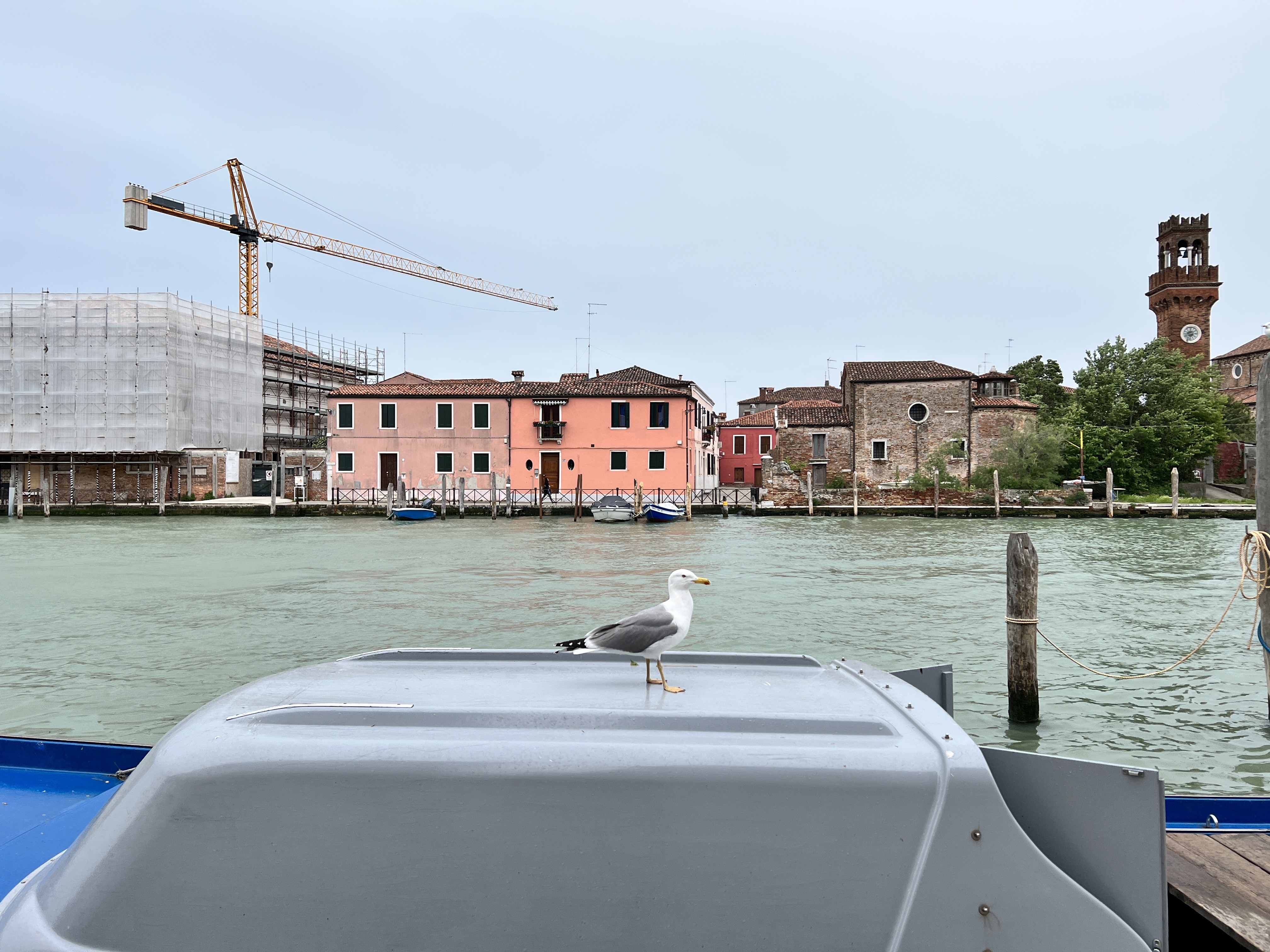 Hyatt Centric Murano Venice | ˮǲ