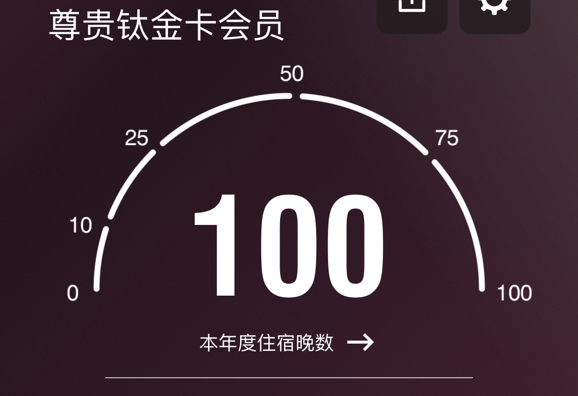 100🐾
