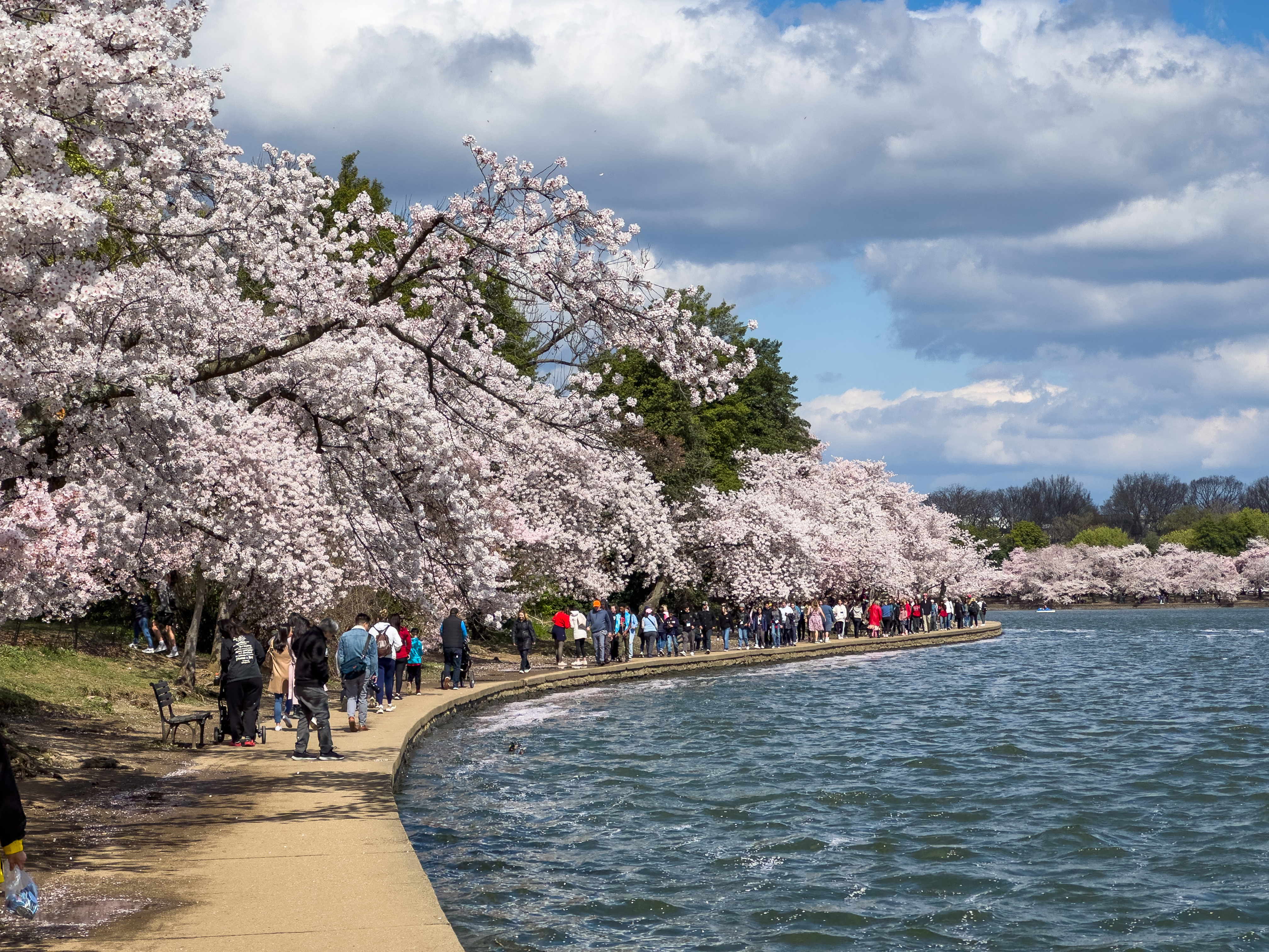 ӣ䡿ʢɽƵ Washington D.C. Marriott Capitol Hill