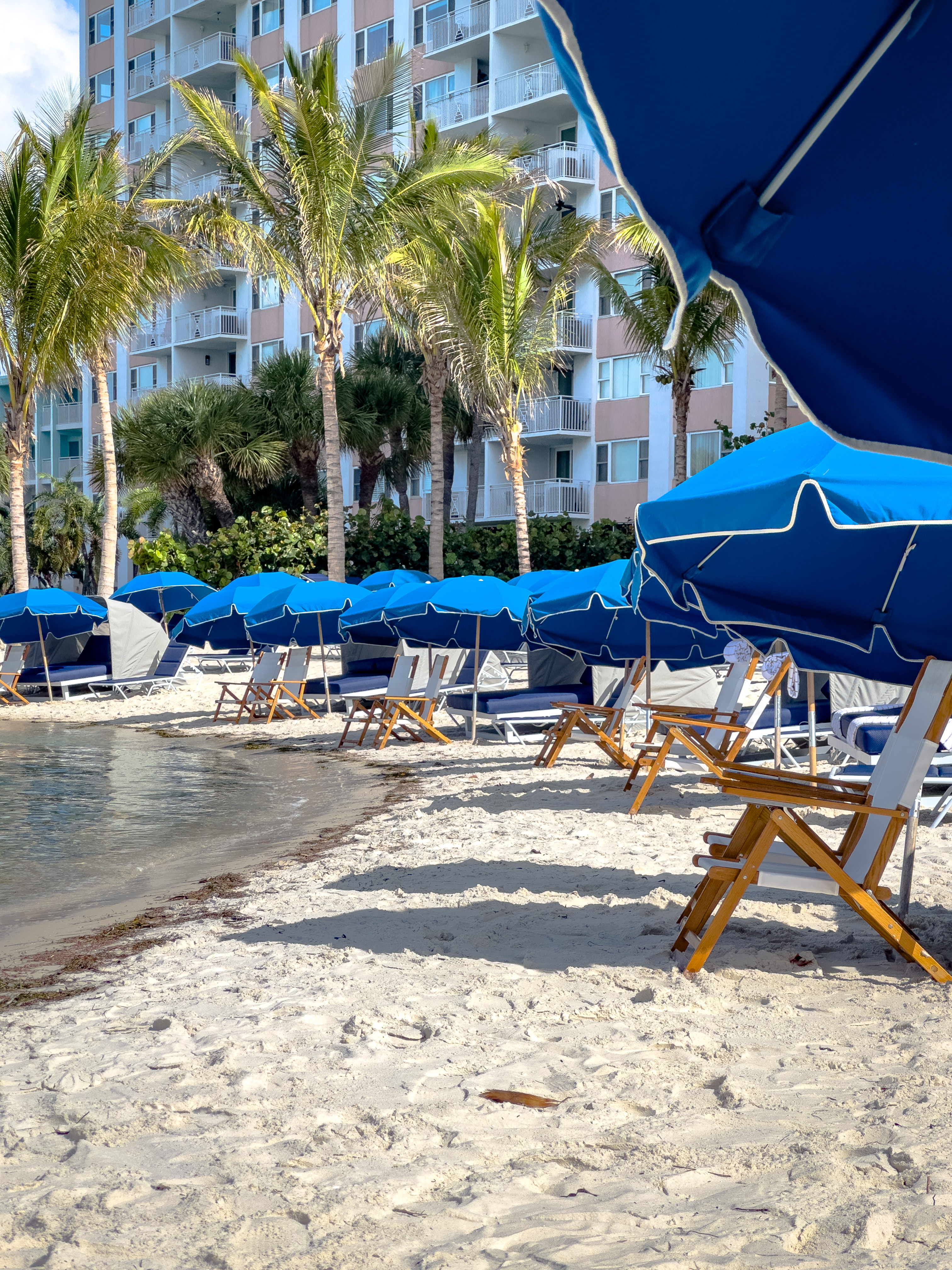 ˽ˮ̲µ׷̹ˮ̲JWȼپƵJW Marriott Clearwater Beach Resort