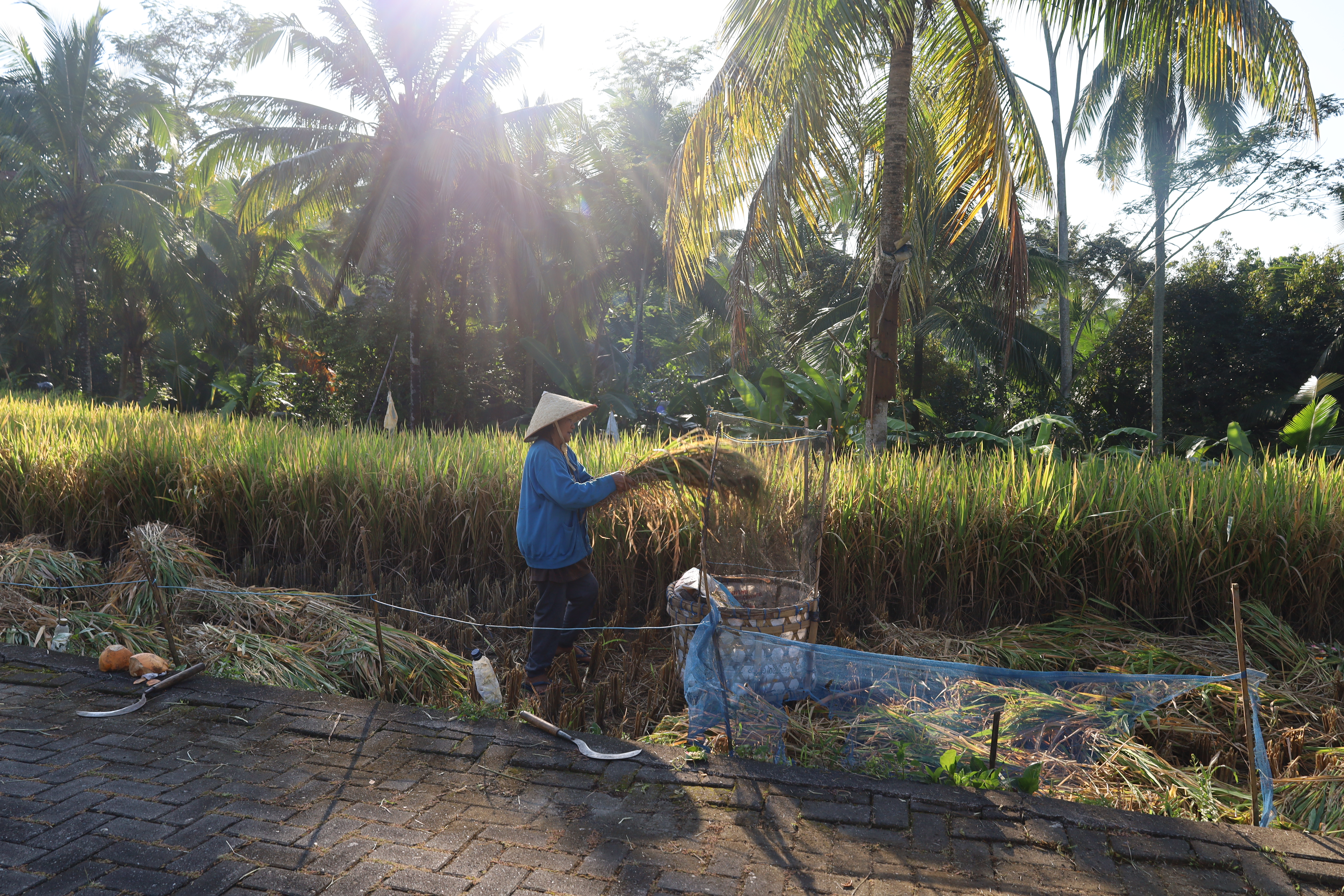    嵺ڲ Ubud Alila ¶̨Ӿر˫