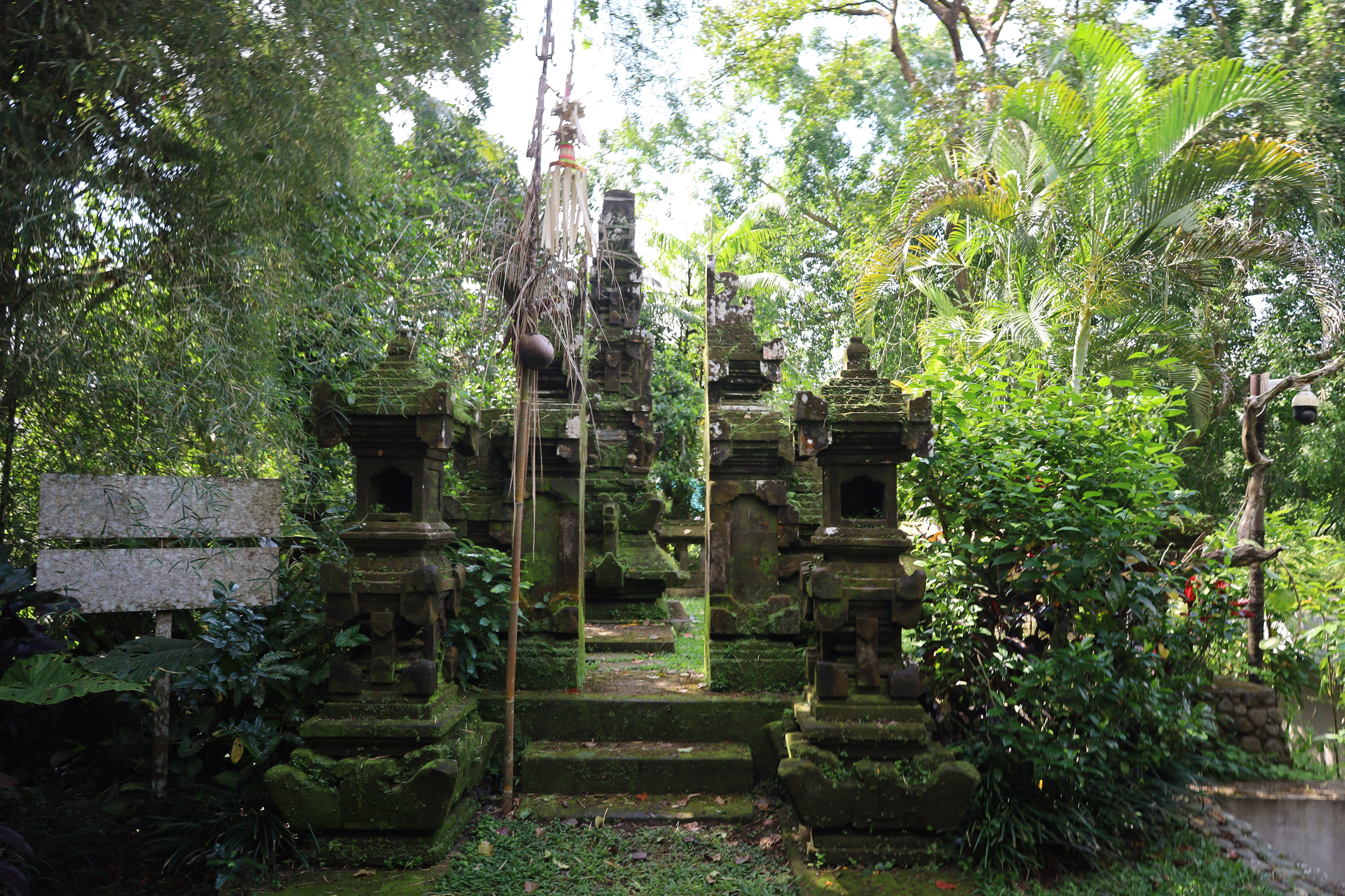    嵺ڲ Ubud Alila ¶̨Ӿر˫