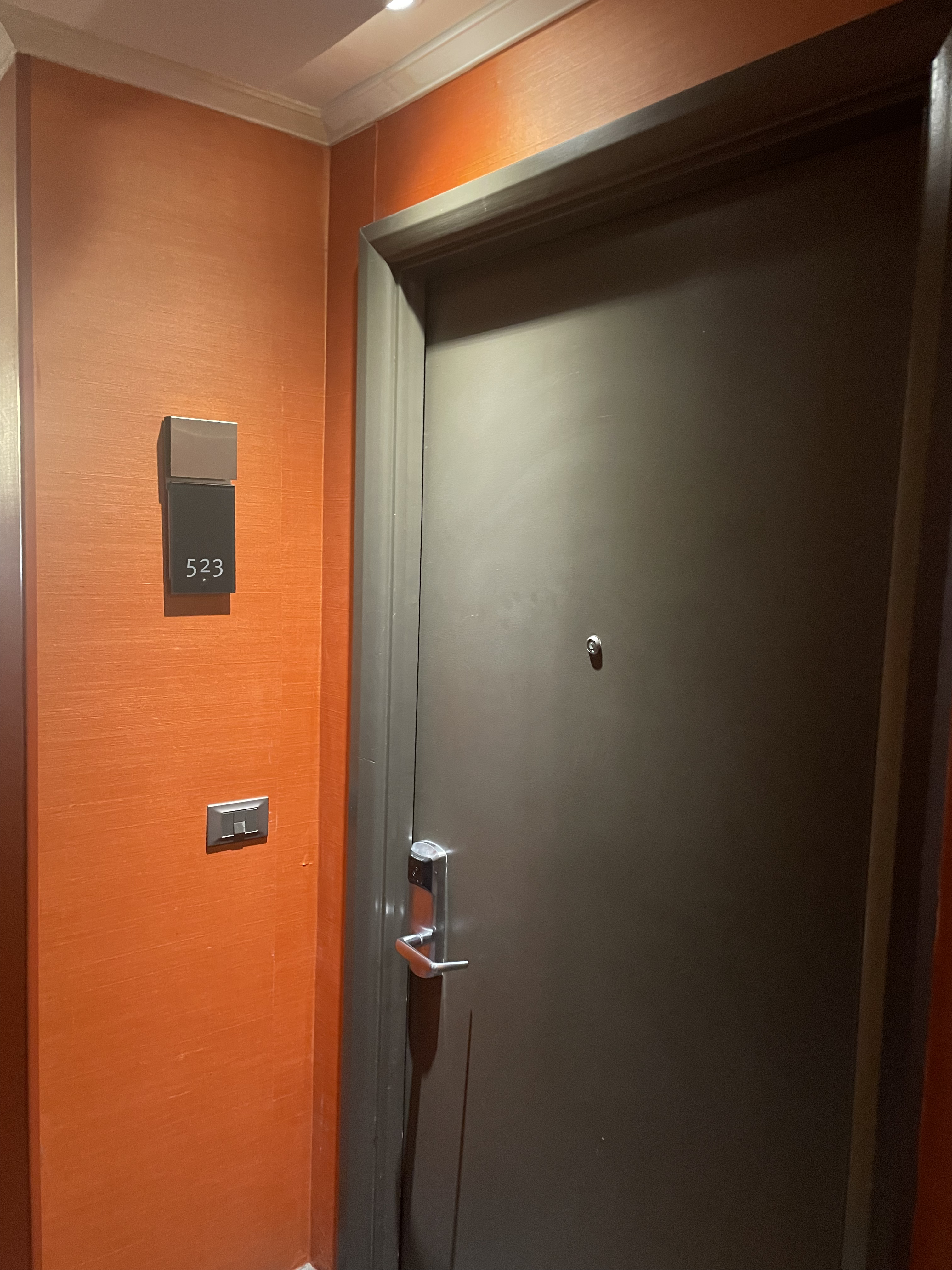 ʥǸ޼ʾƵInterContinental Santaigo˫
