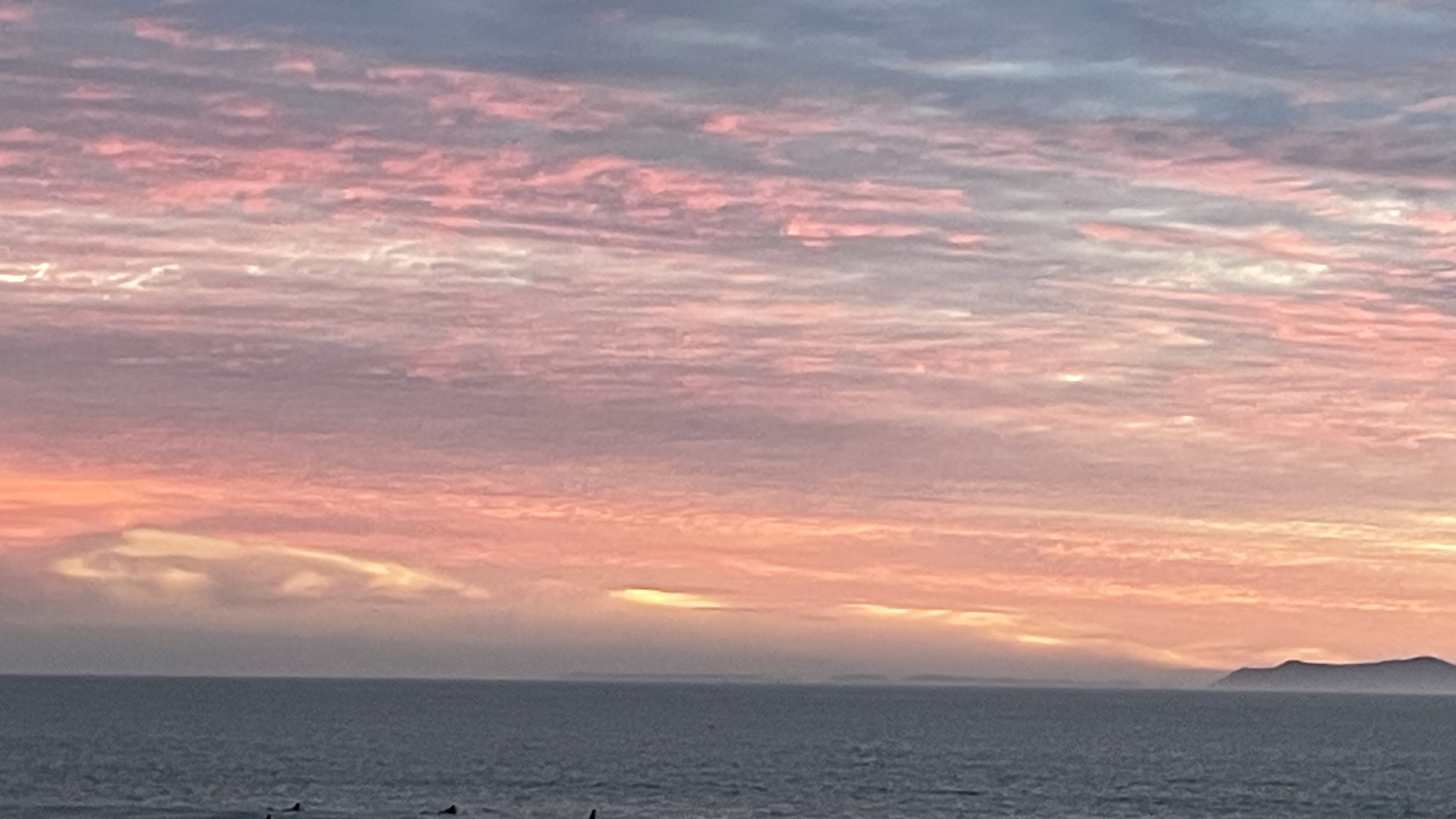 Venturaʹڼס