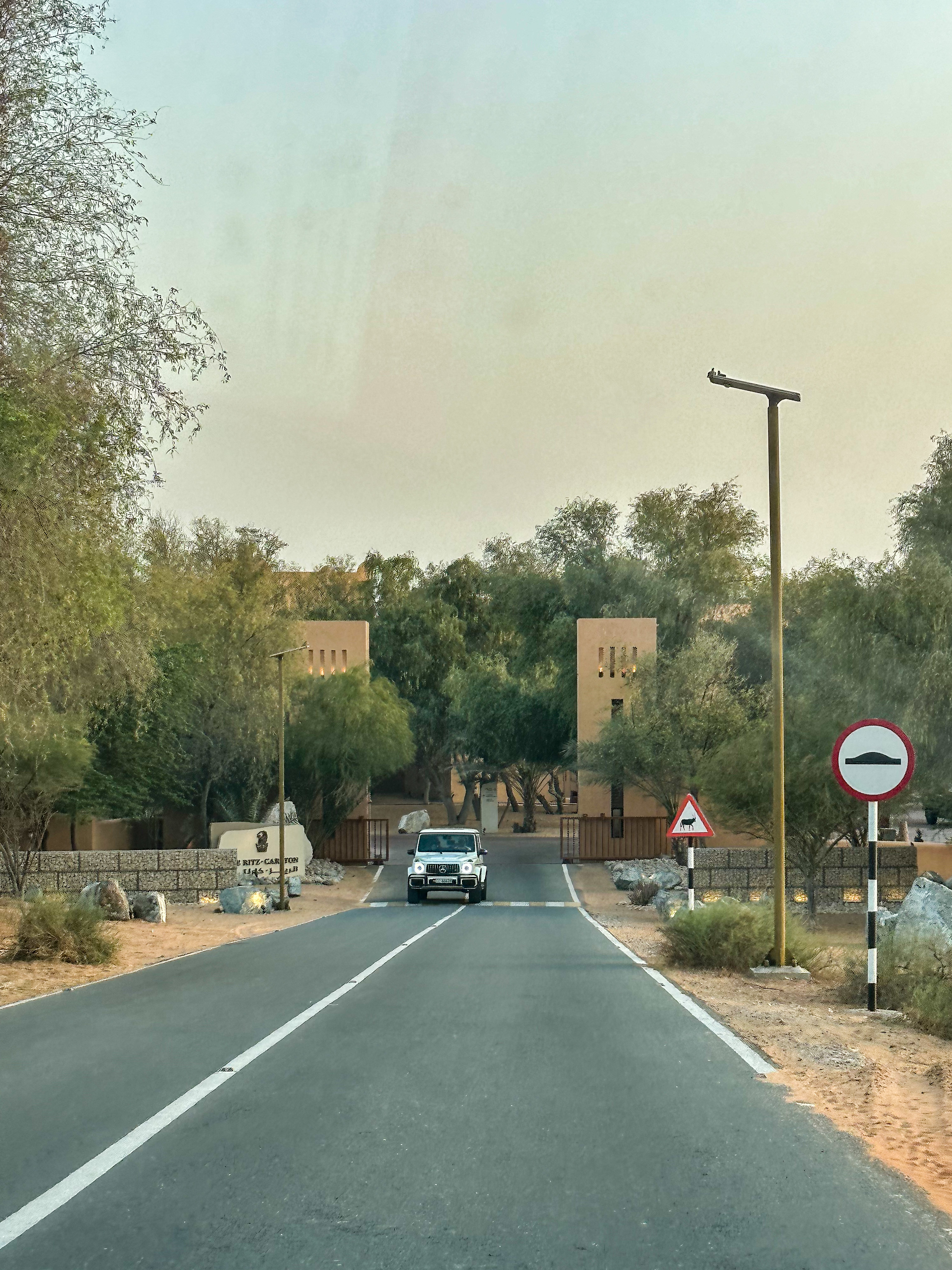 ҰݣɳĮ˼The Ritz-Carlton Ras Al Khaimah, Al Wadi Desert