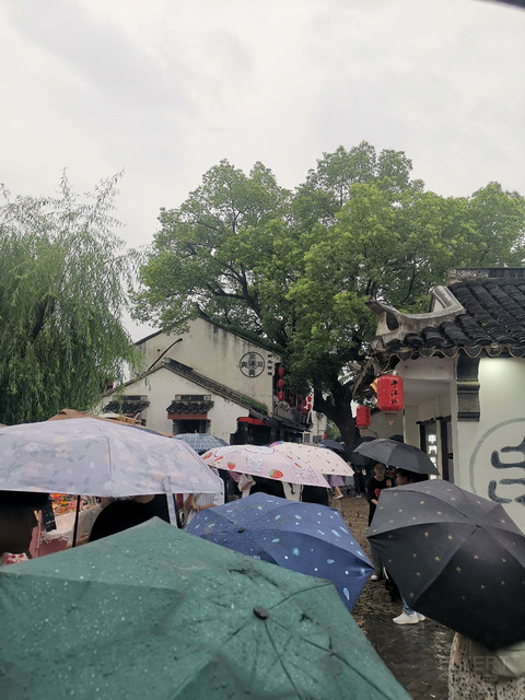 苏州三家酒店横评——苏州万豪、尼盛万丽、苏州W