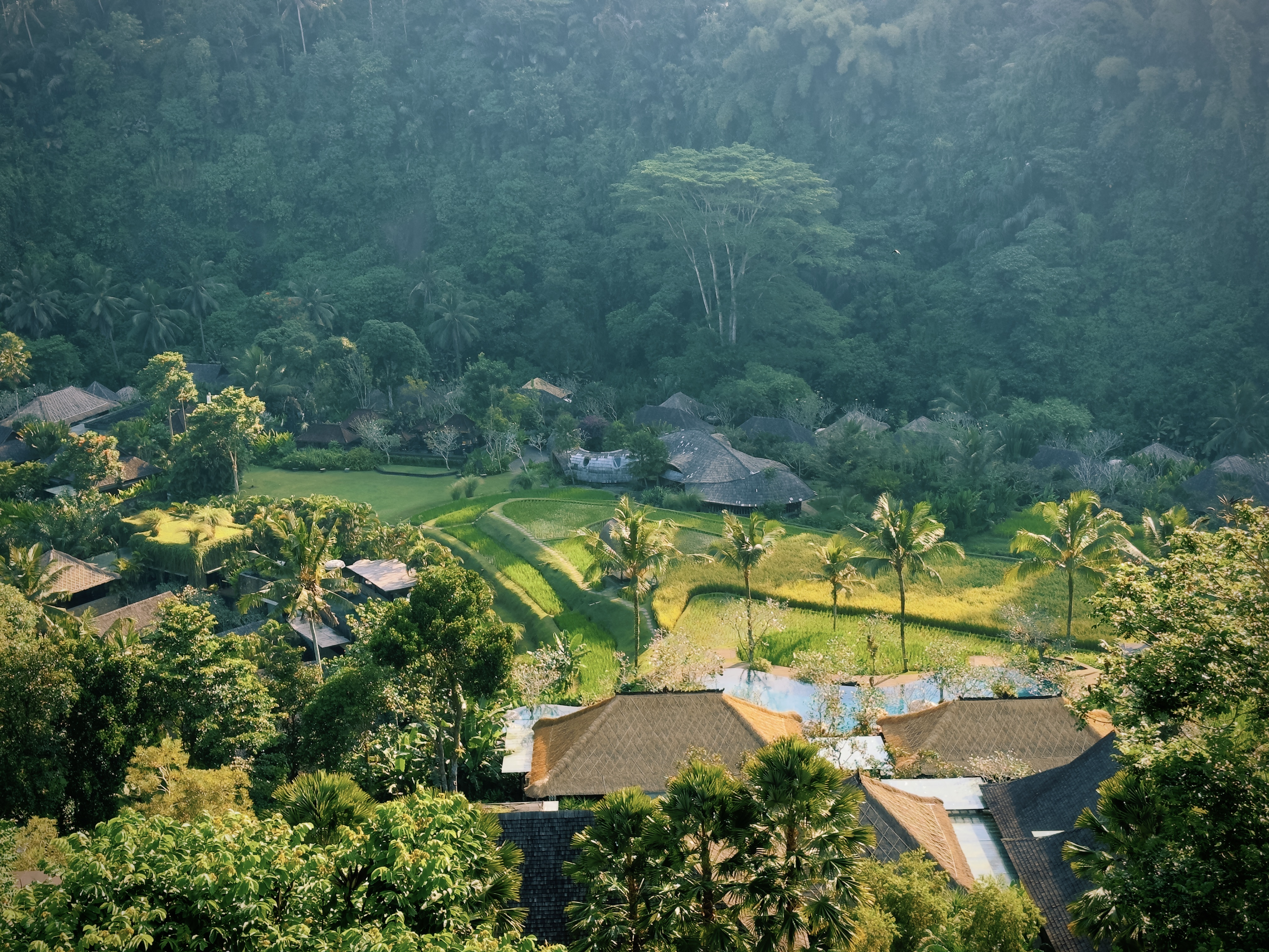 [] Mandapa, a Ritz-Carlton Reserve嵺ڲ˼Ƶ 