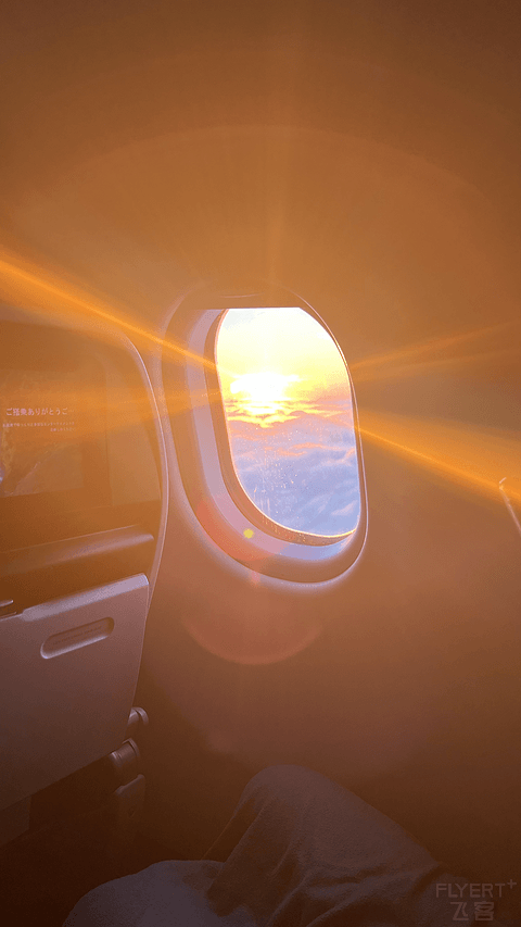 裙摆飘摇，长空扶摇 夏威夷航空HA90 HNL-BOS经济舱体验